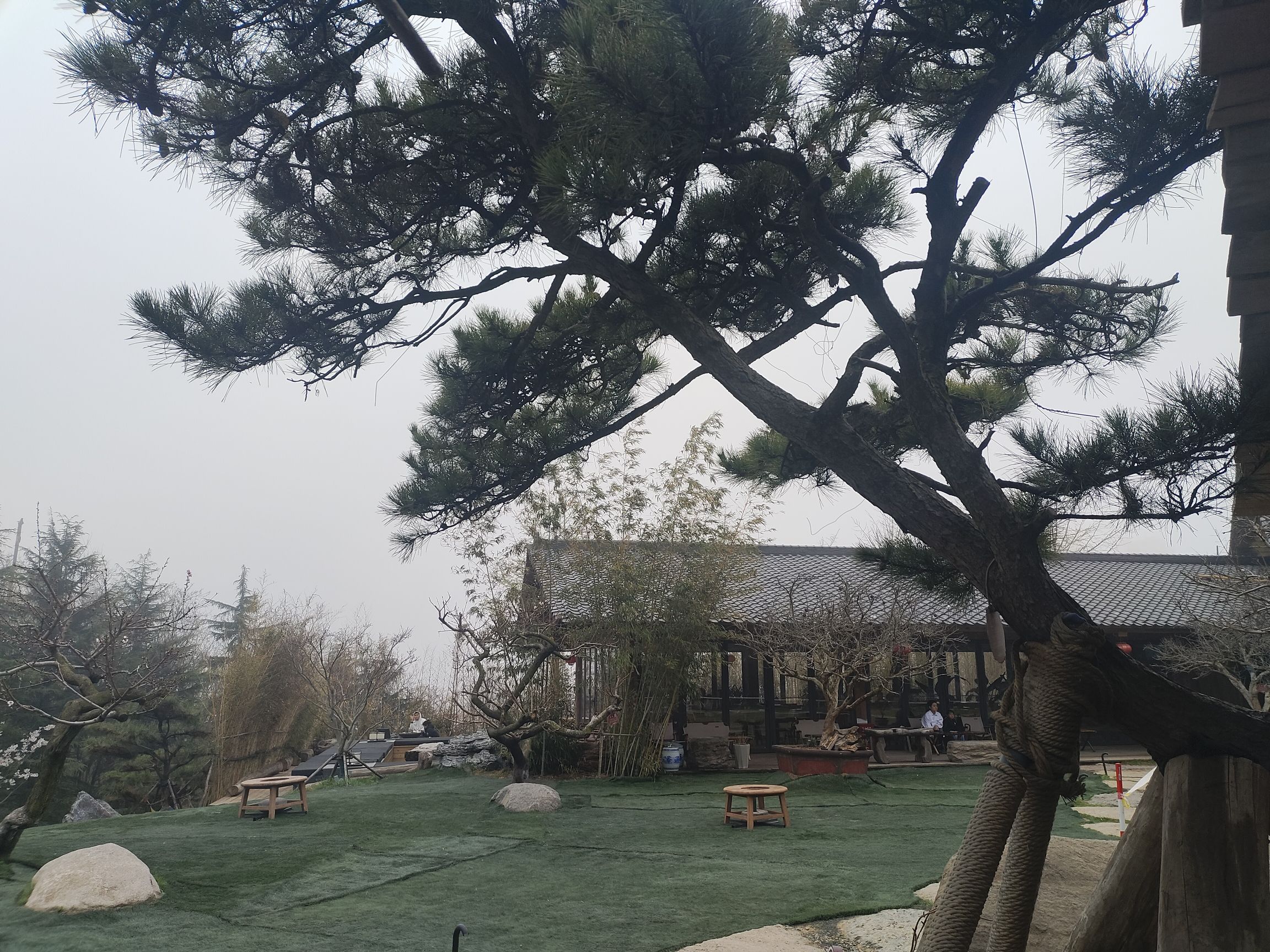 浮山森林公园旅行图片