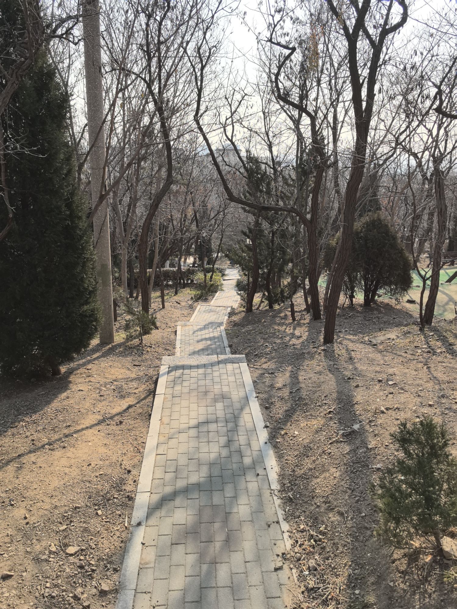 牛毛山公园旅行图片