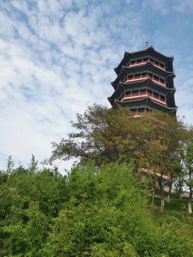 青岛少海风景区旅行图片
