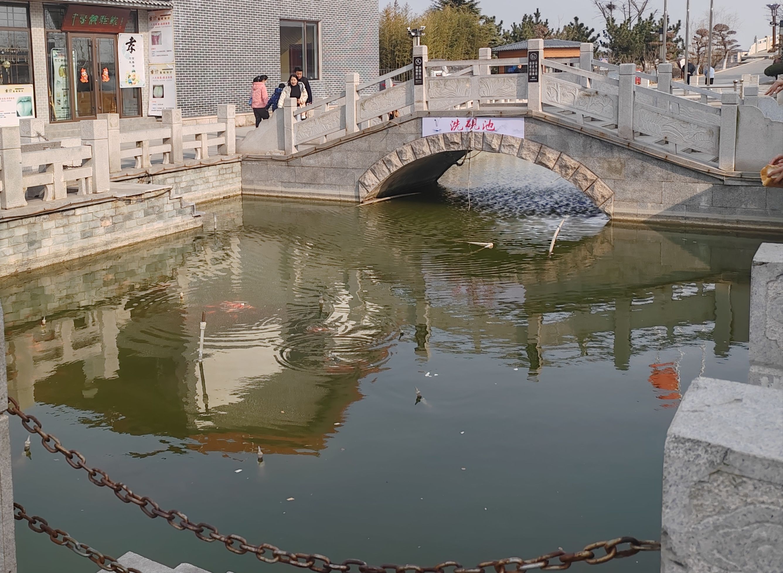 青岛少海风景区旅行图片