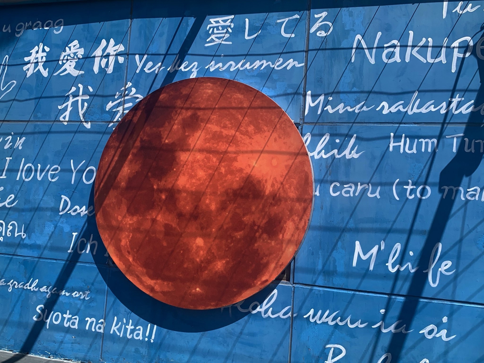青岛海上游船观光