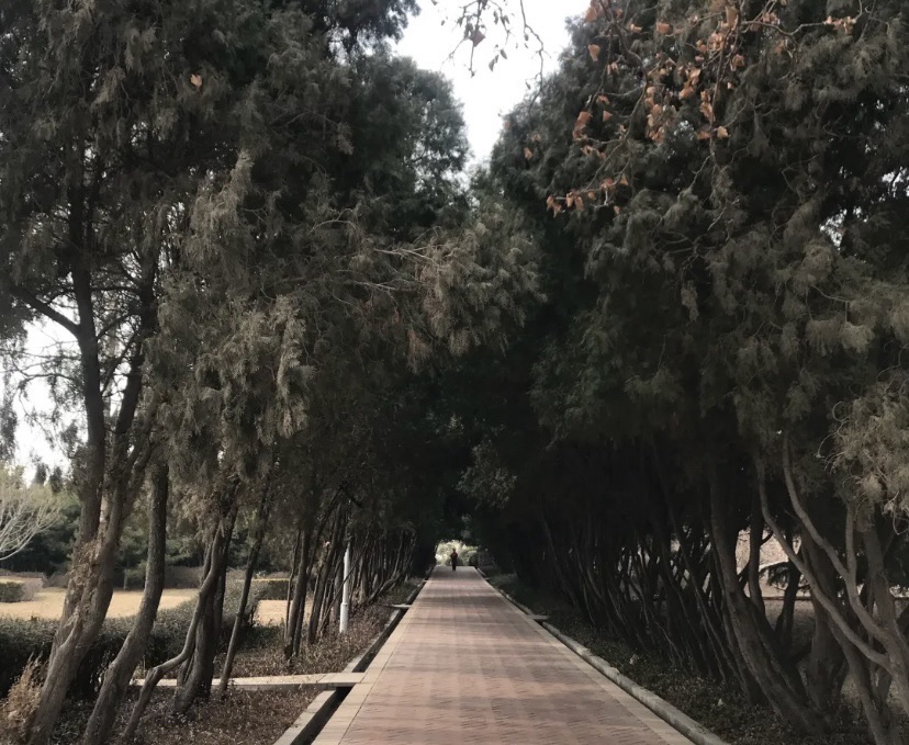 西山公园旅行图片