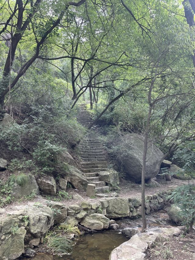 鲁山国家森林公园