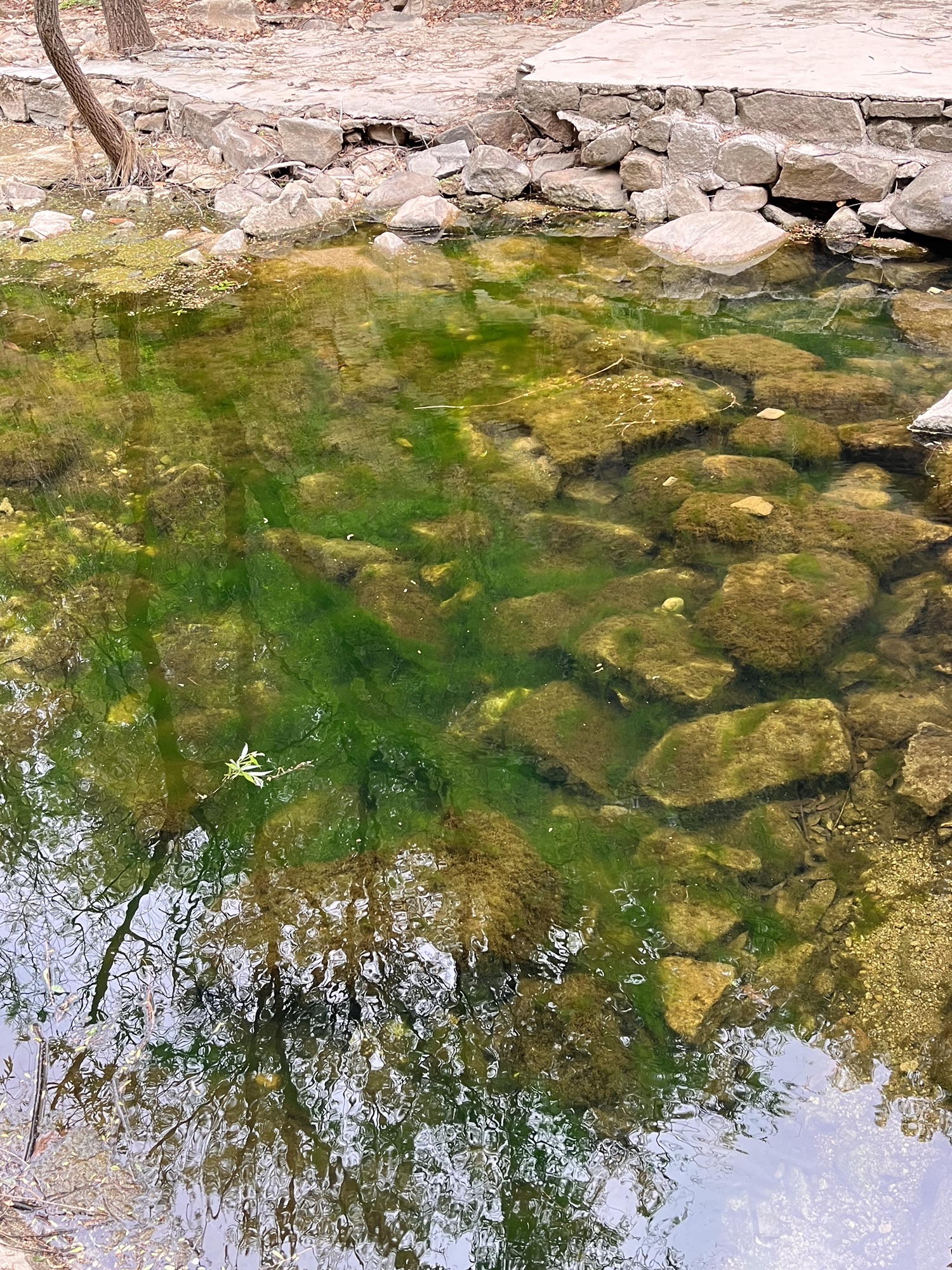 樵岭前风景区
