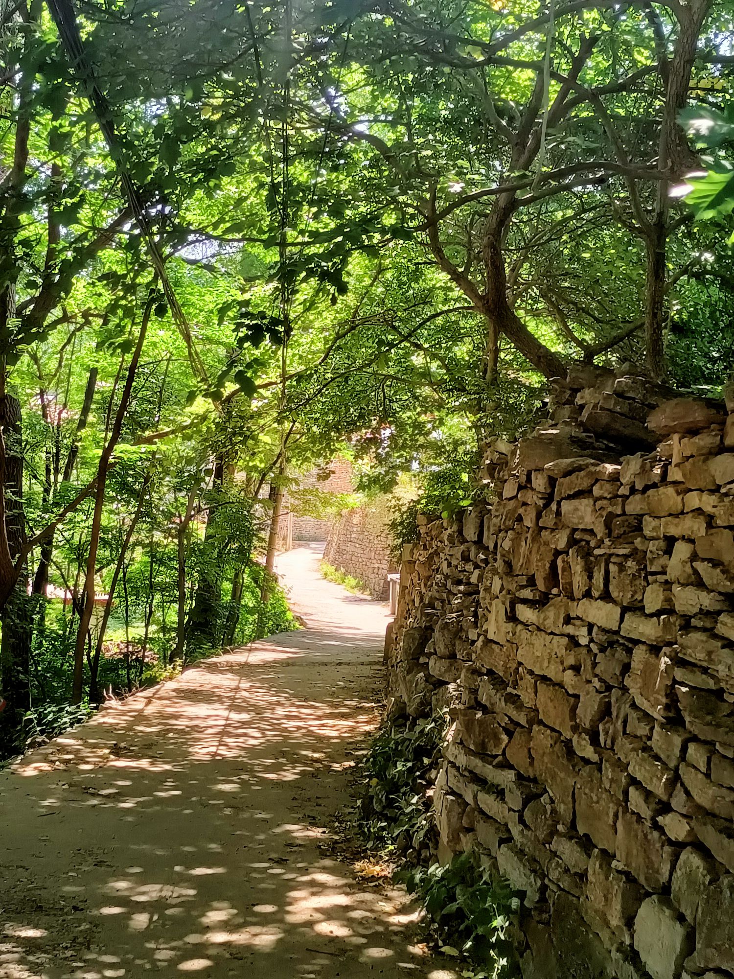 云明山风景区旅行图片