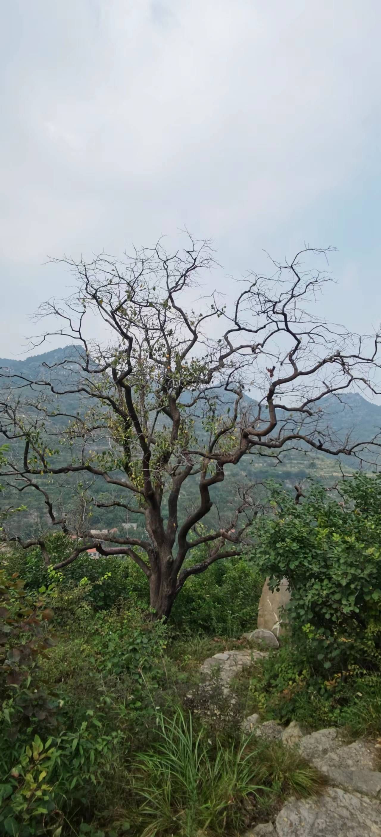 云明山风景区旅行图片