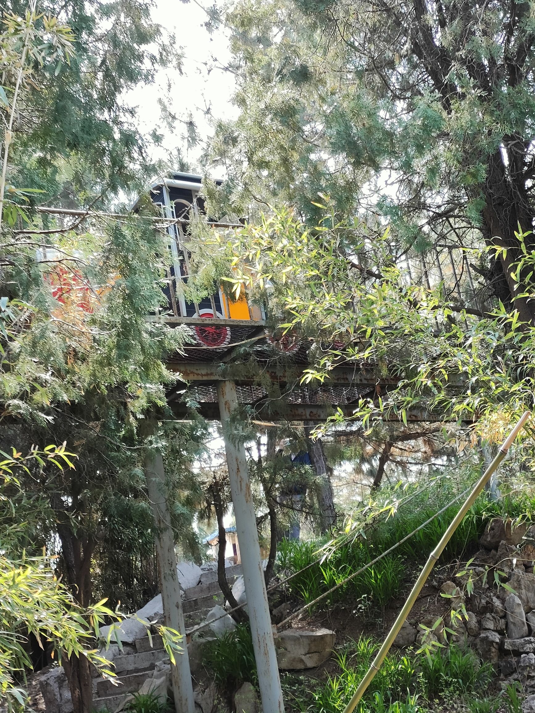 莲花山公园