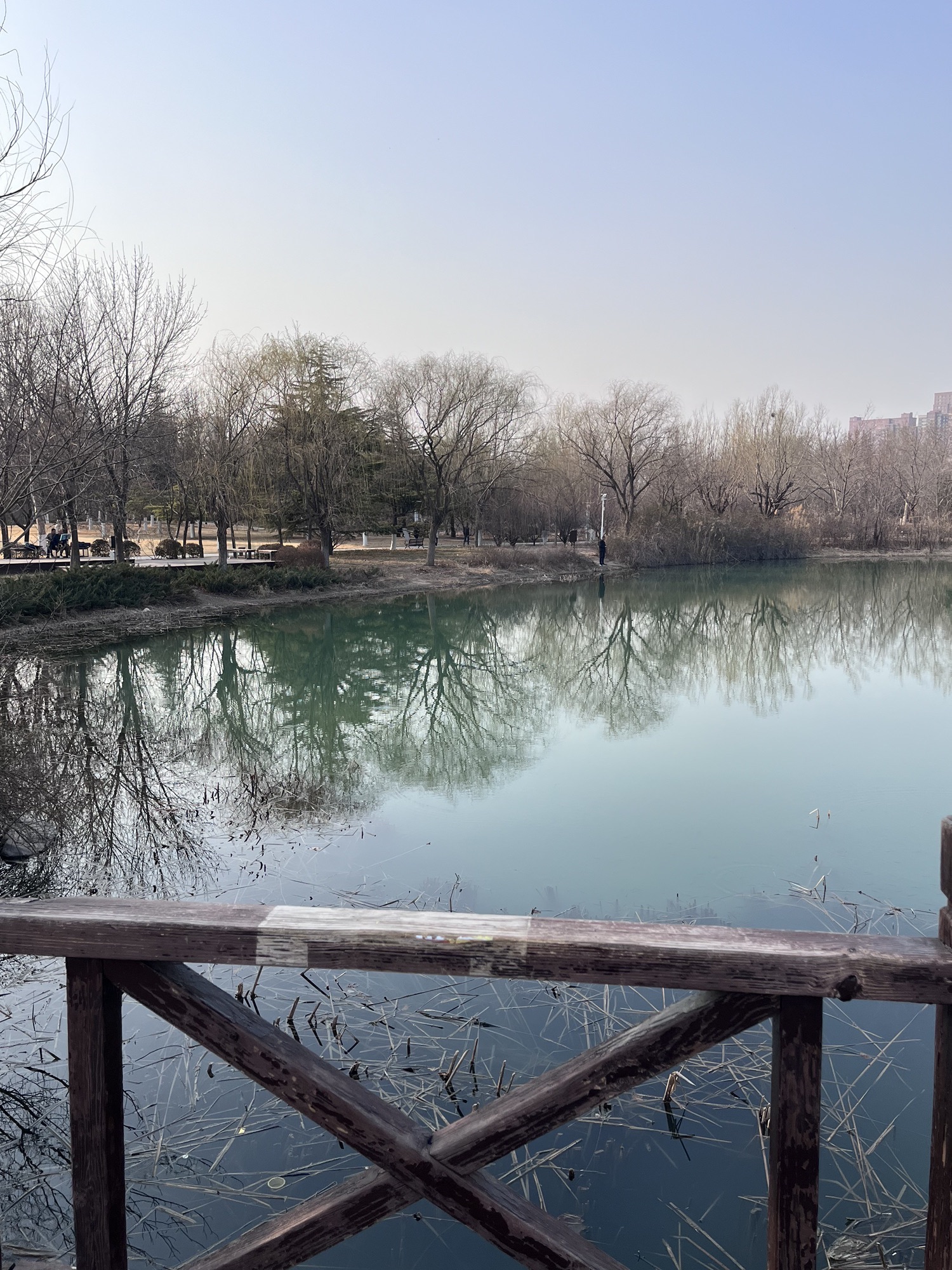 淄博市植物园