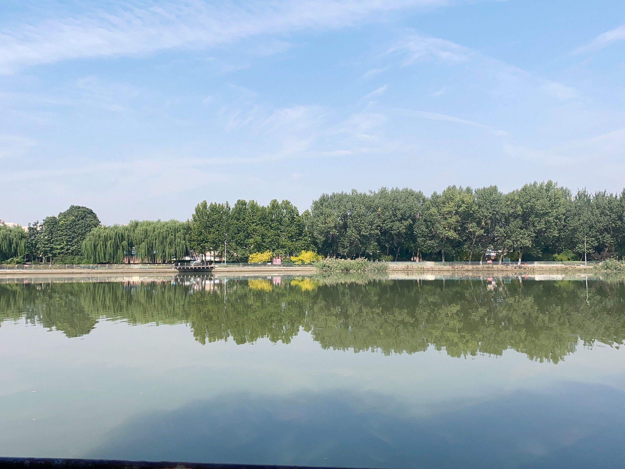 留仙湖公园