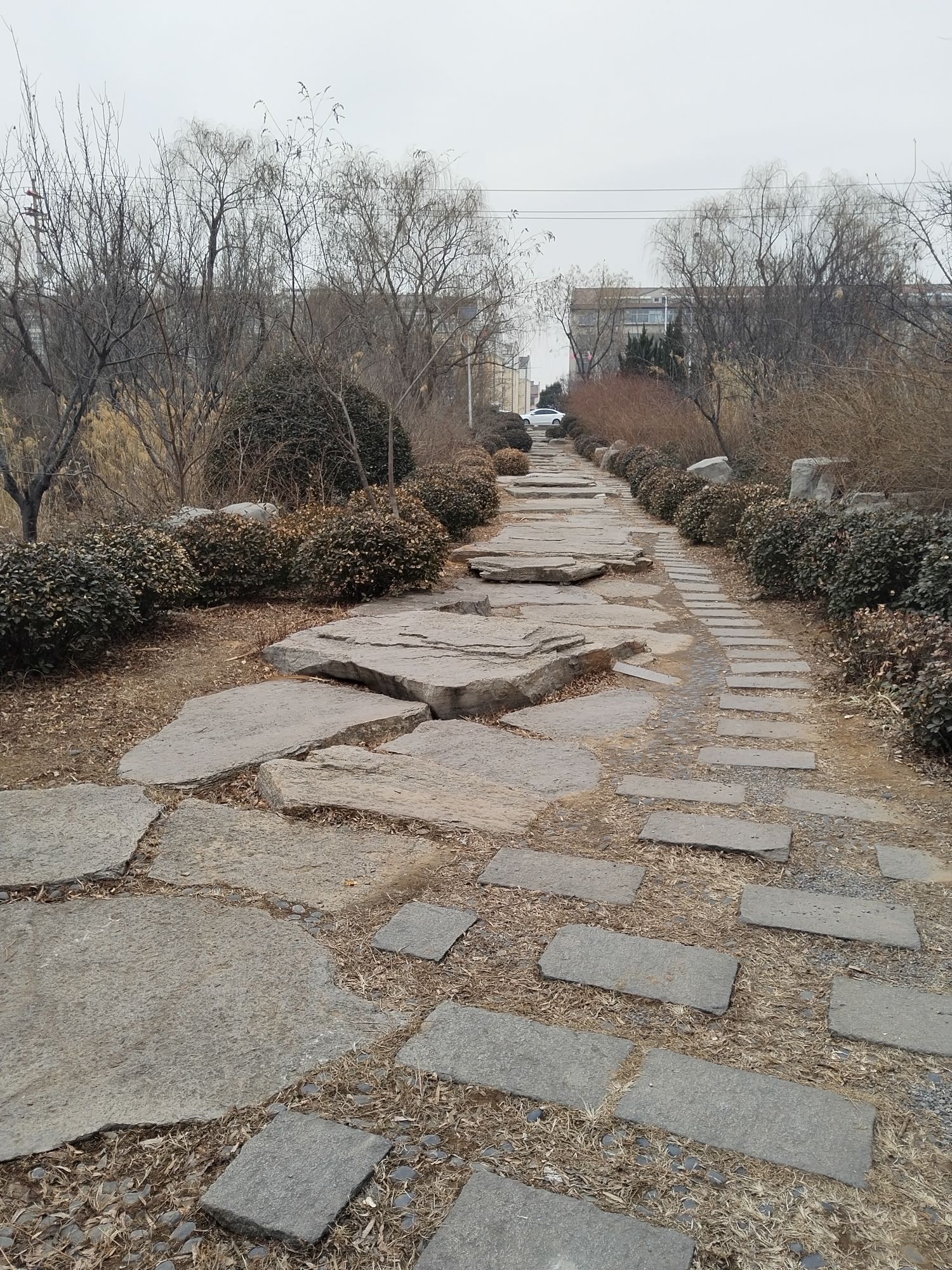 柳泉湿地公园旅行图片
