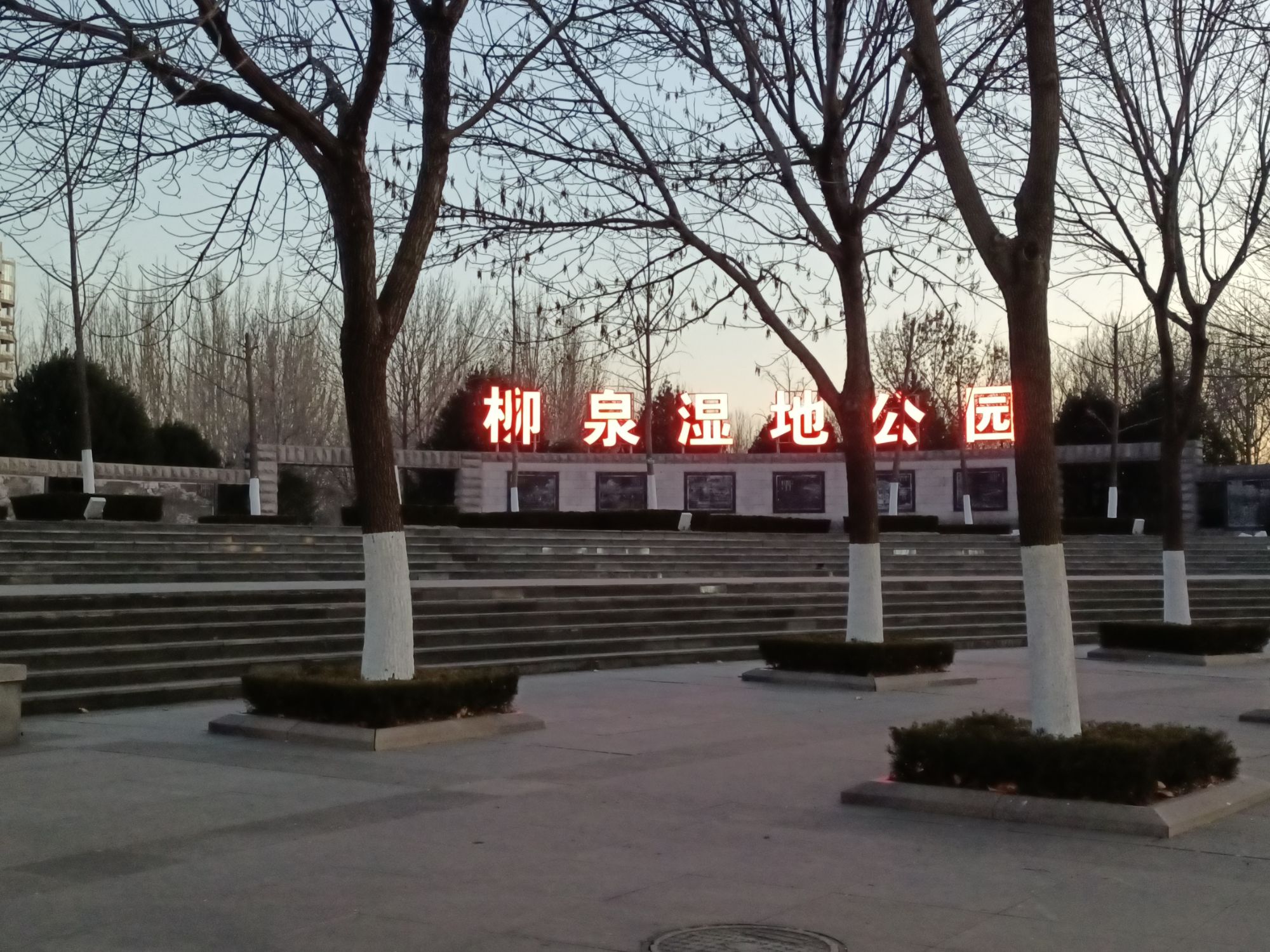 柳泉湿地公园旅行图片