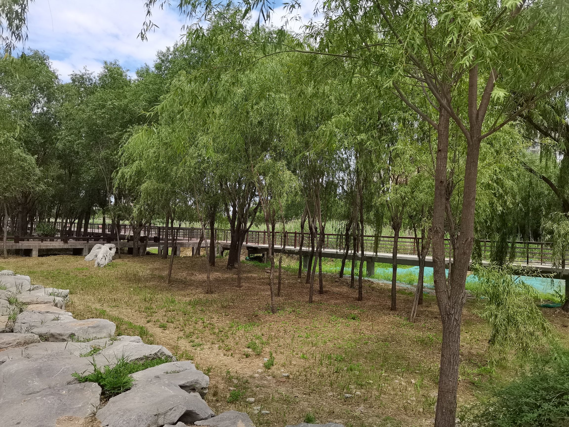 柳泉湿地公园旅行图片