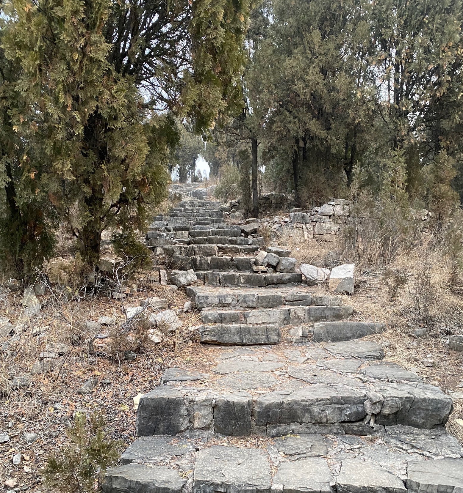 历山公园旅行图片