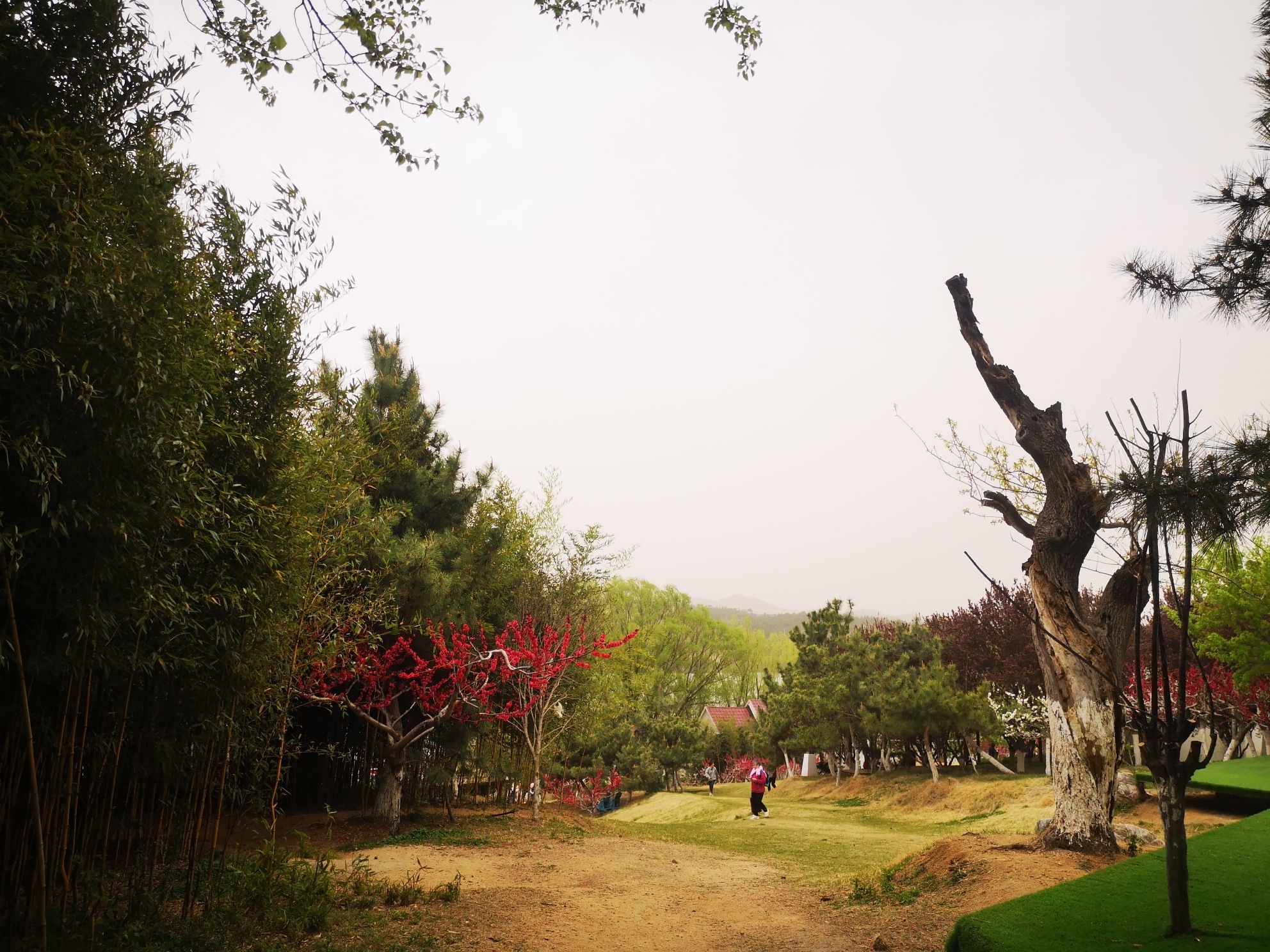 汇泉桃花岛旅行图片