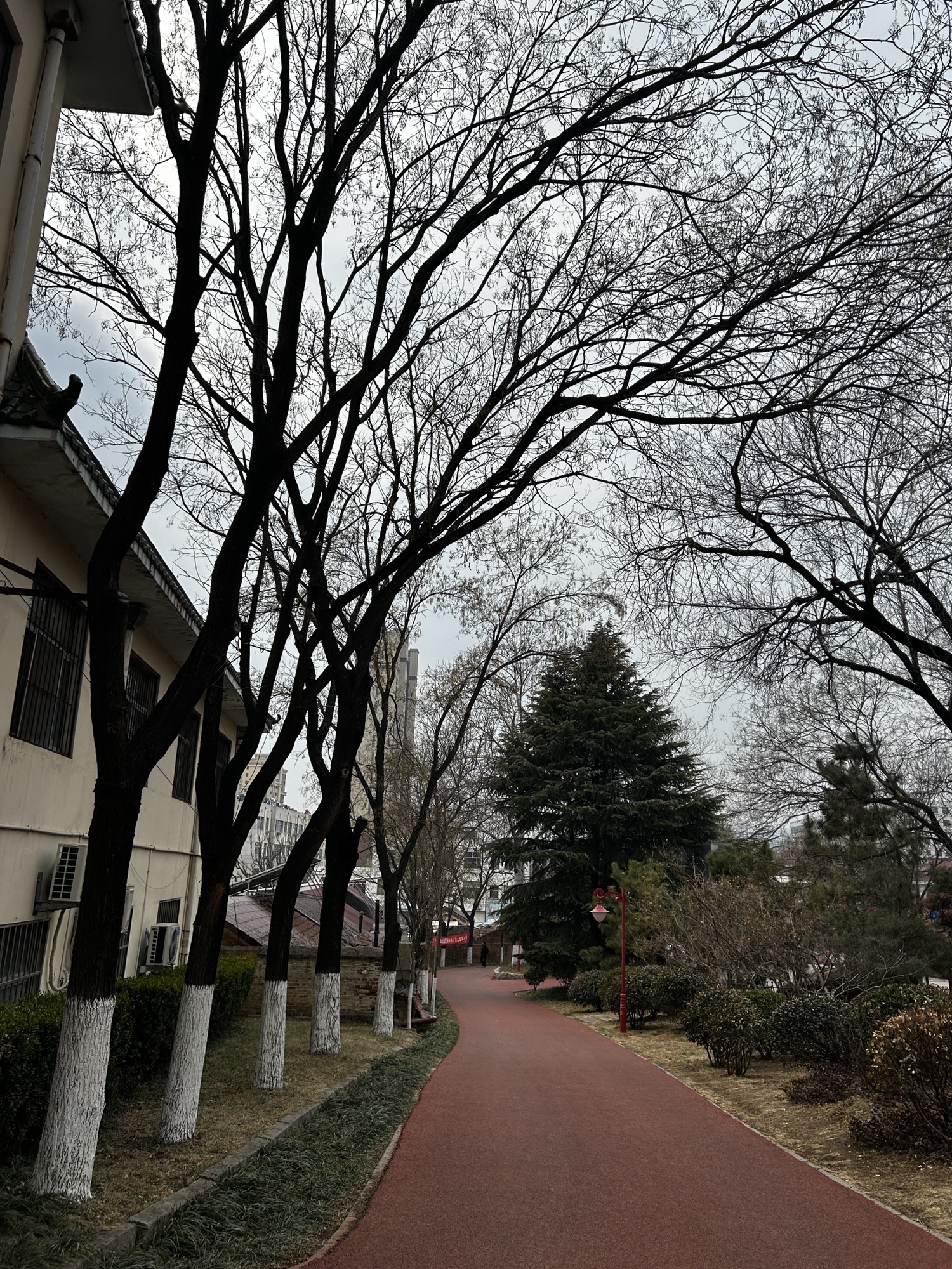 胜利山九九乐园旅行图片