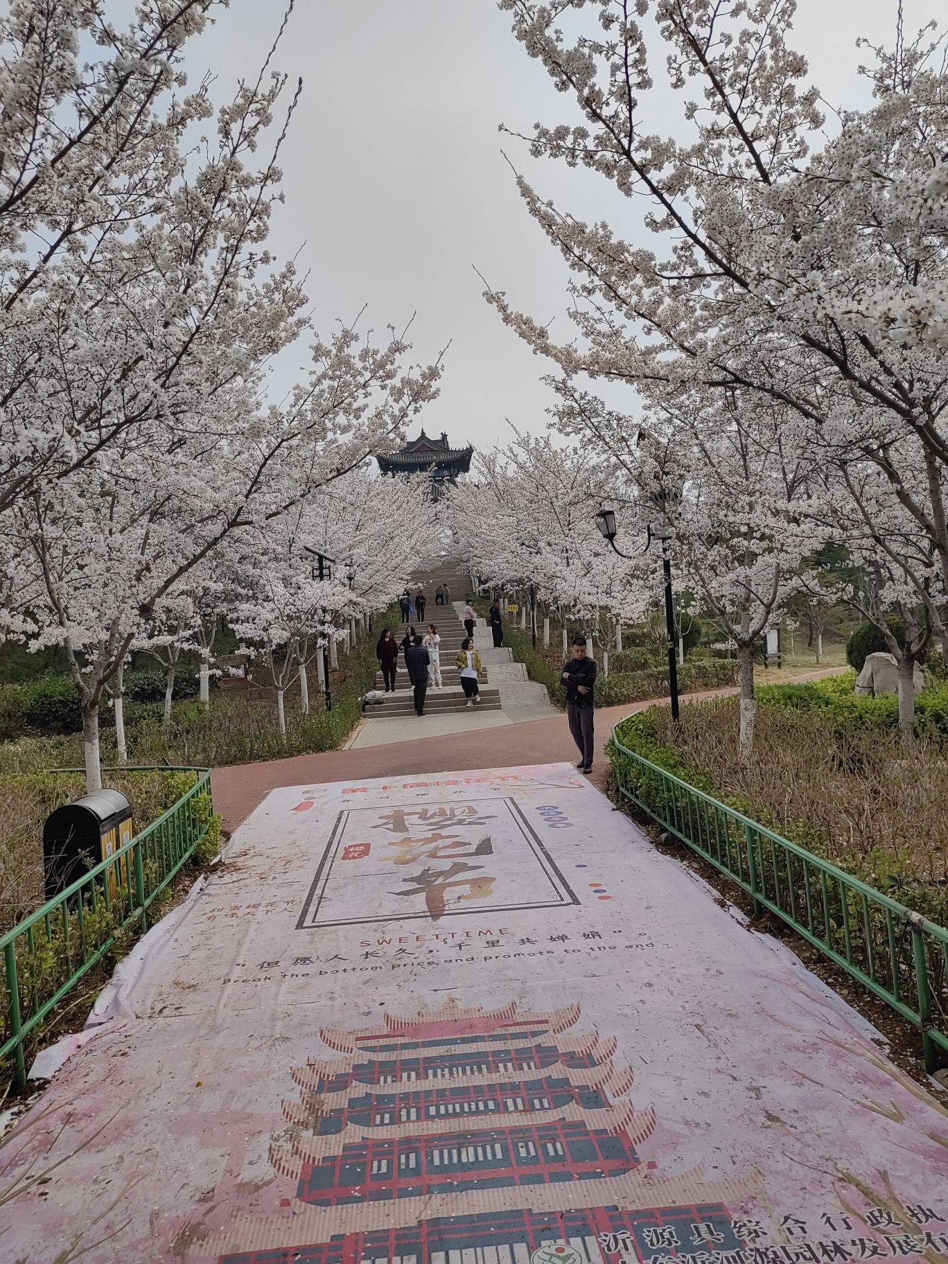 胜利山九九乐园旅行图片