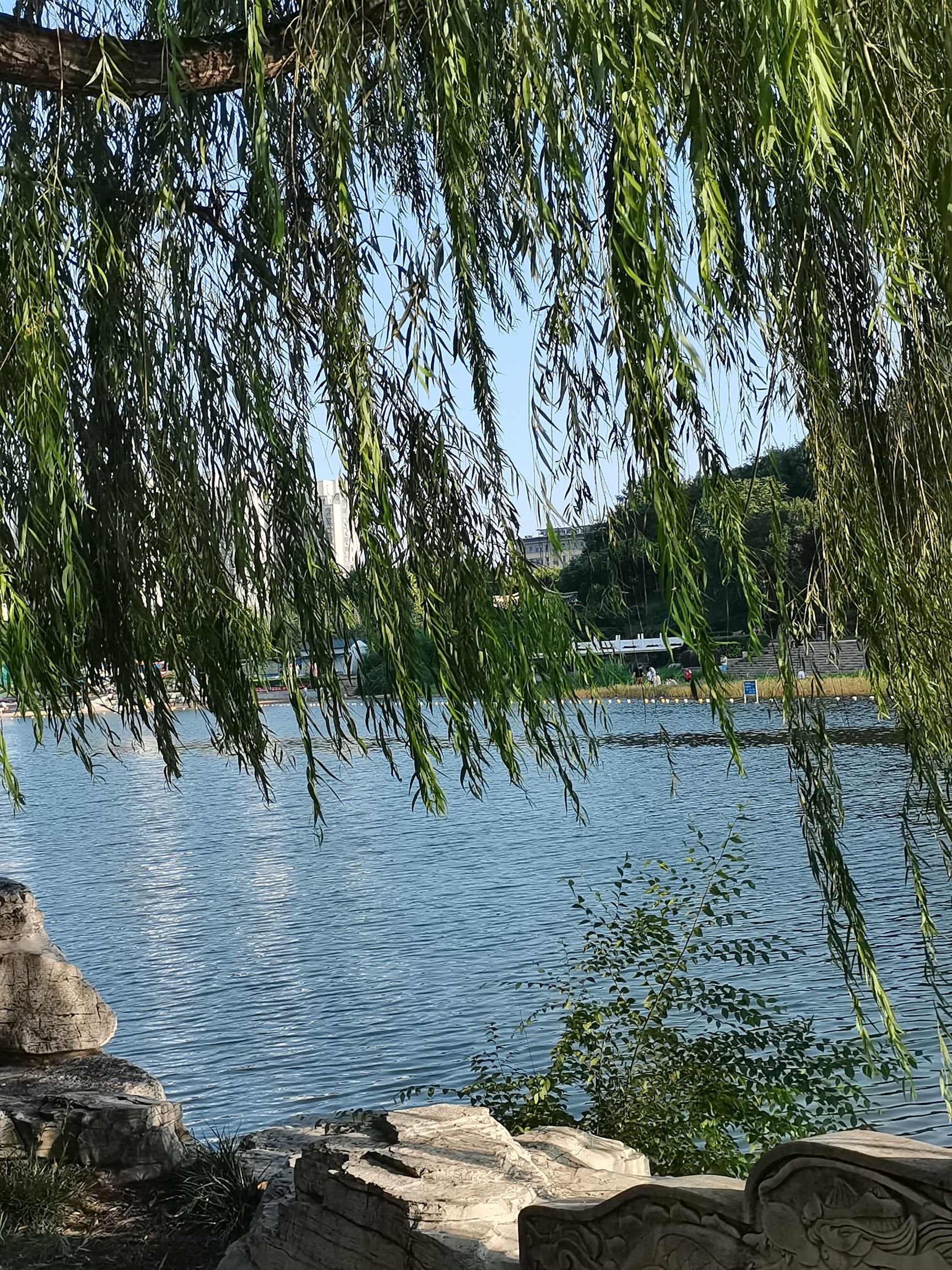 琵琶湾公园