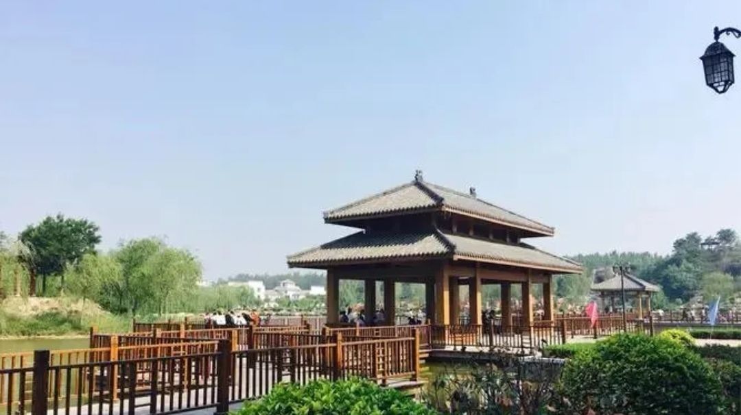 夏津黄河故道森林公园