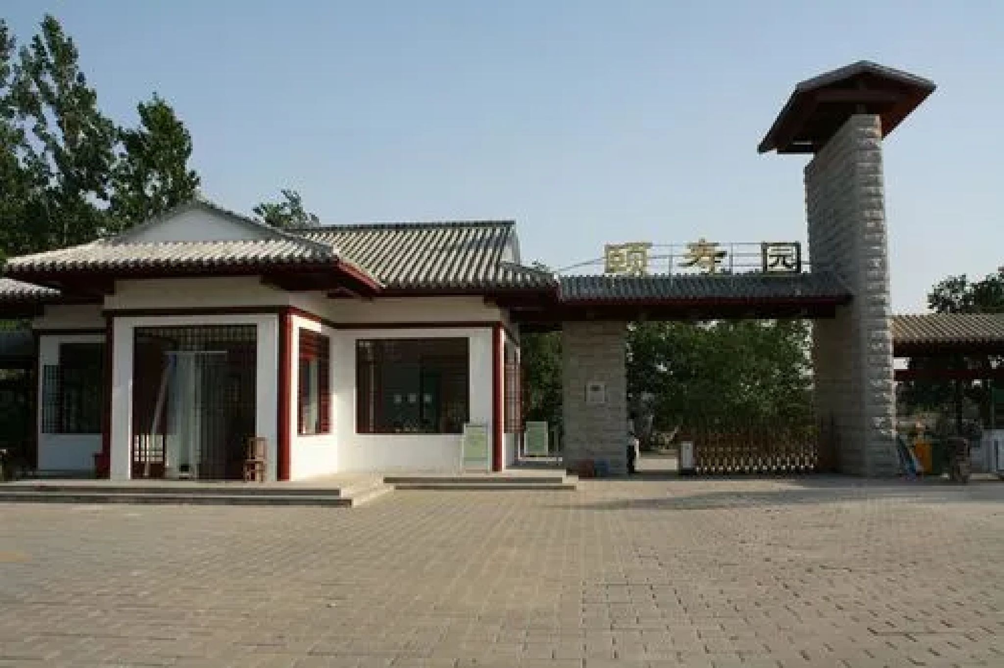 夏津黄河故道森林公园旅行图片