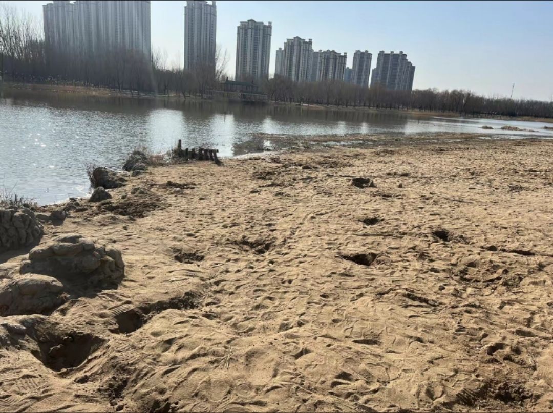 德州市城市风景