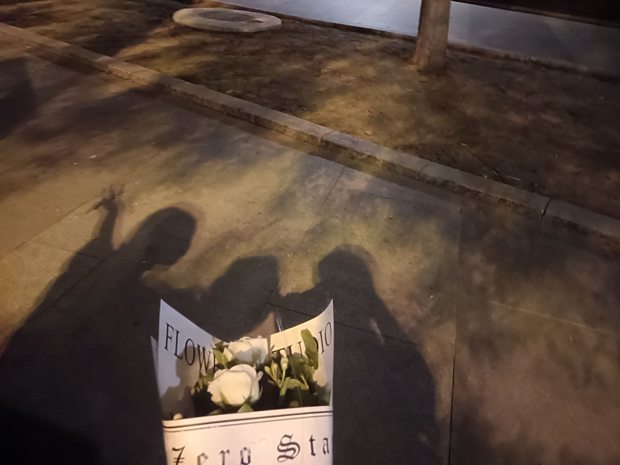 龙口市文化广场旅行图片