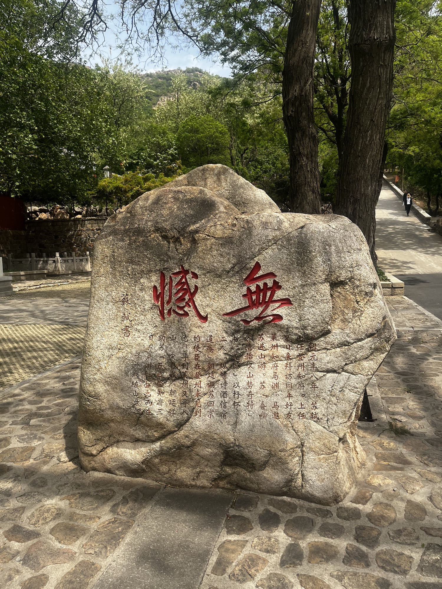 大基山森林公园旅行图片