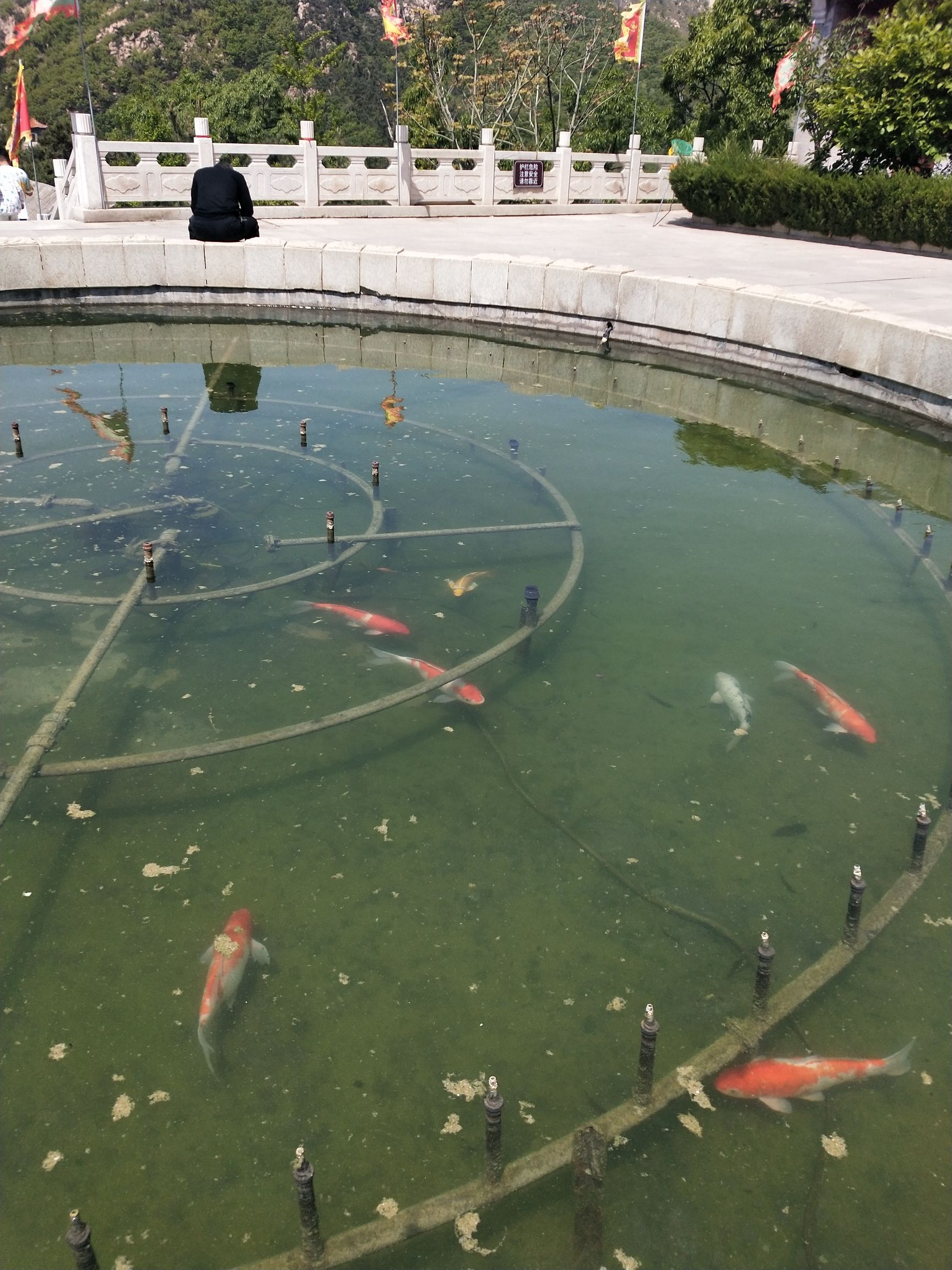 大基山森林公园旅行图片