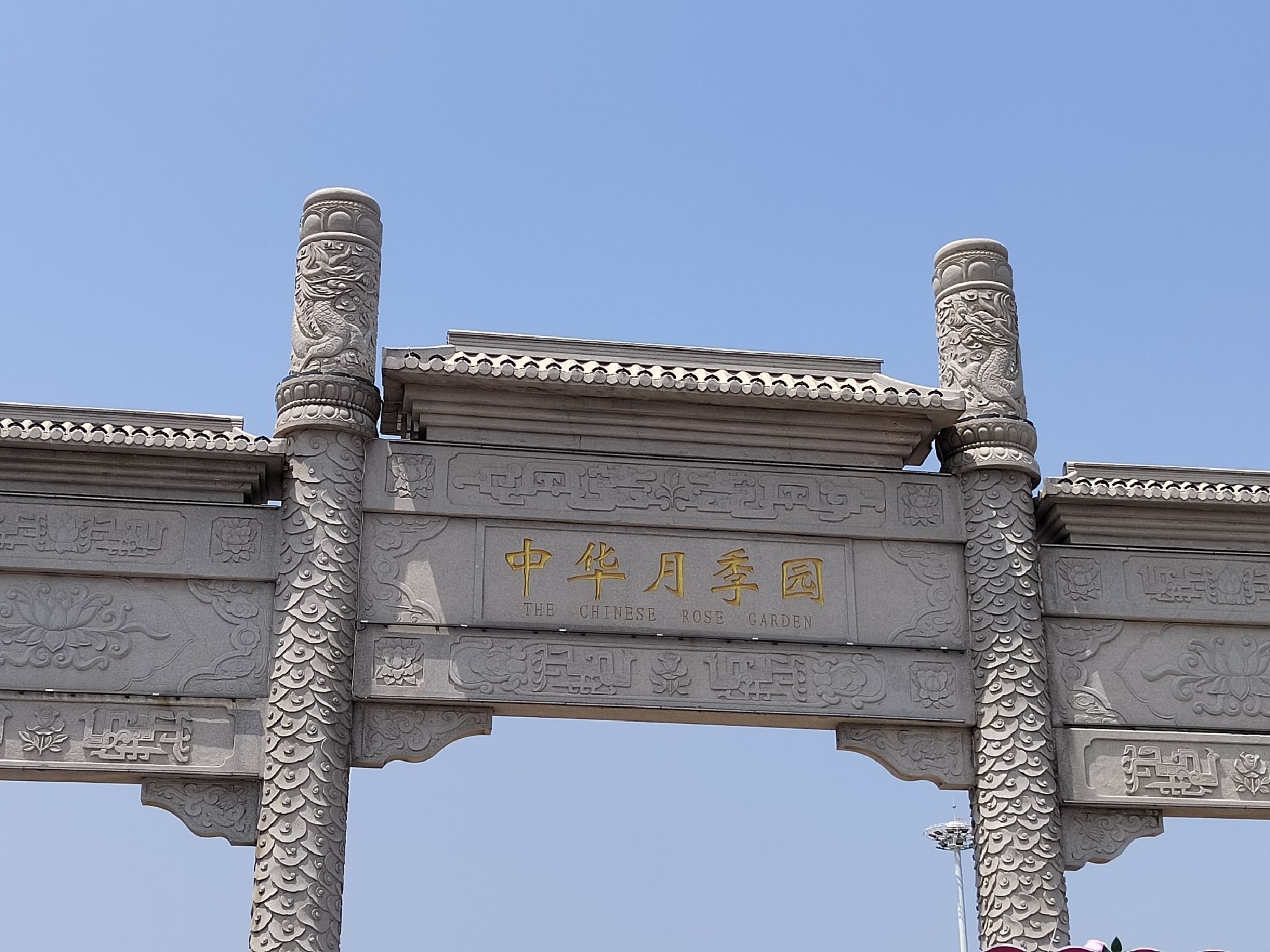 中华月季园旅行图片