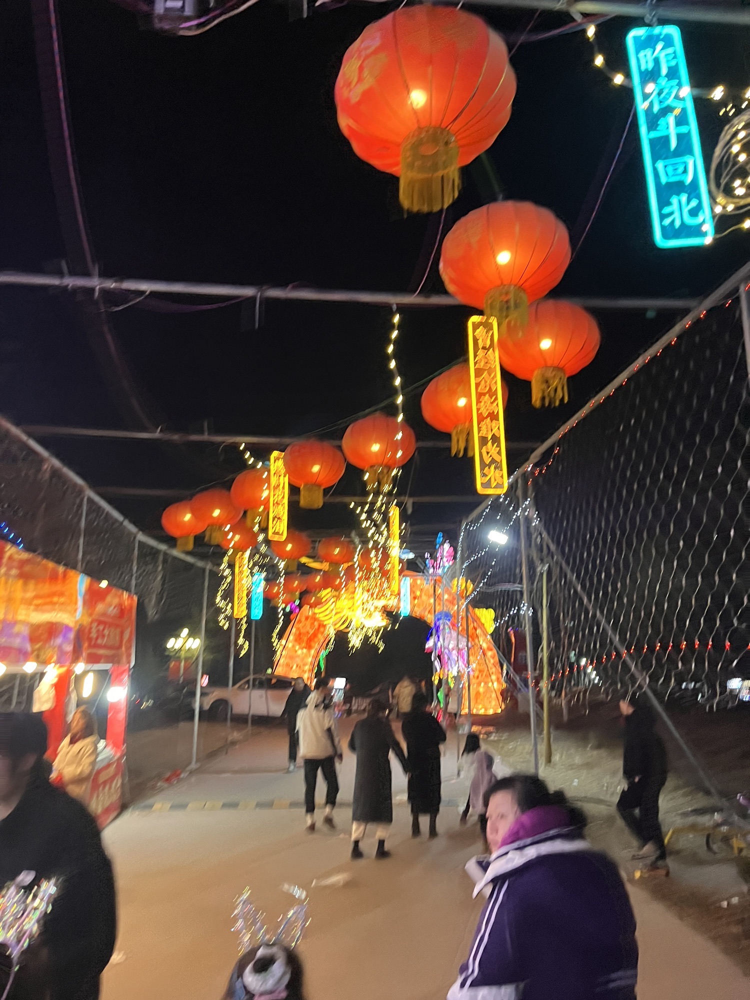 中华月季园旅行图片