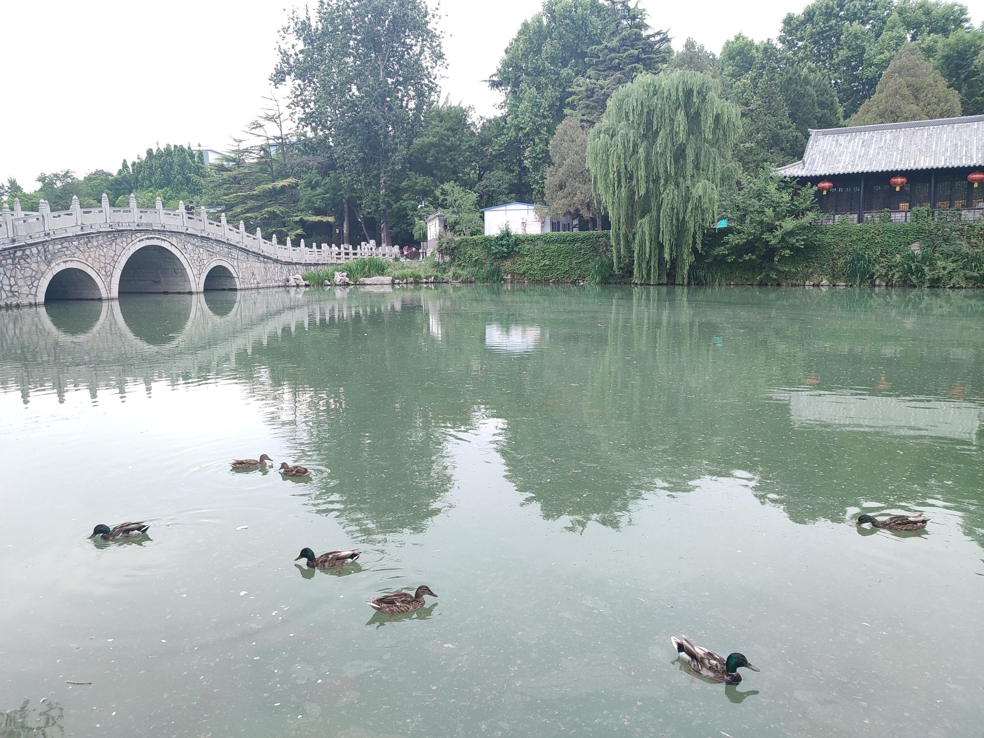 范公亭公园