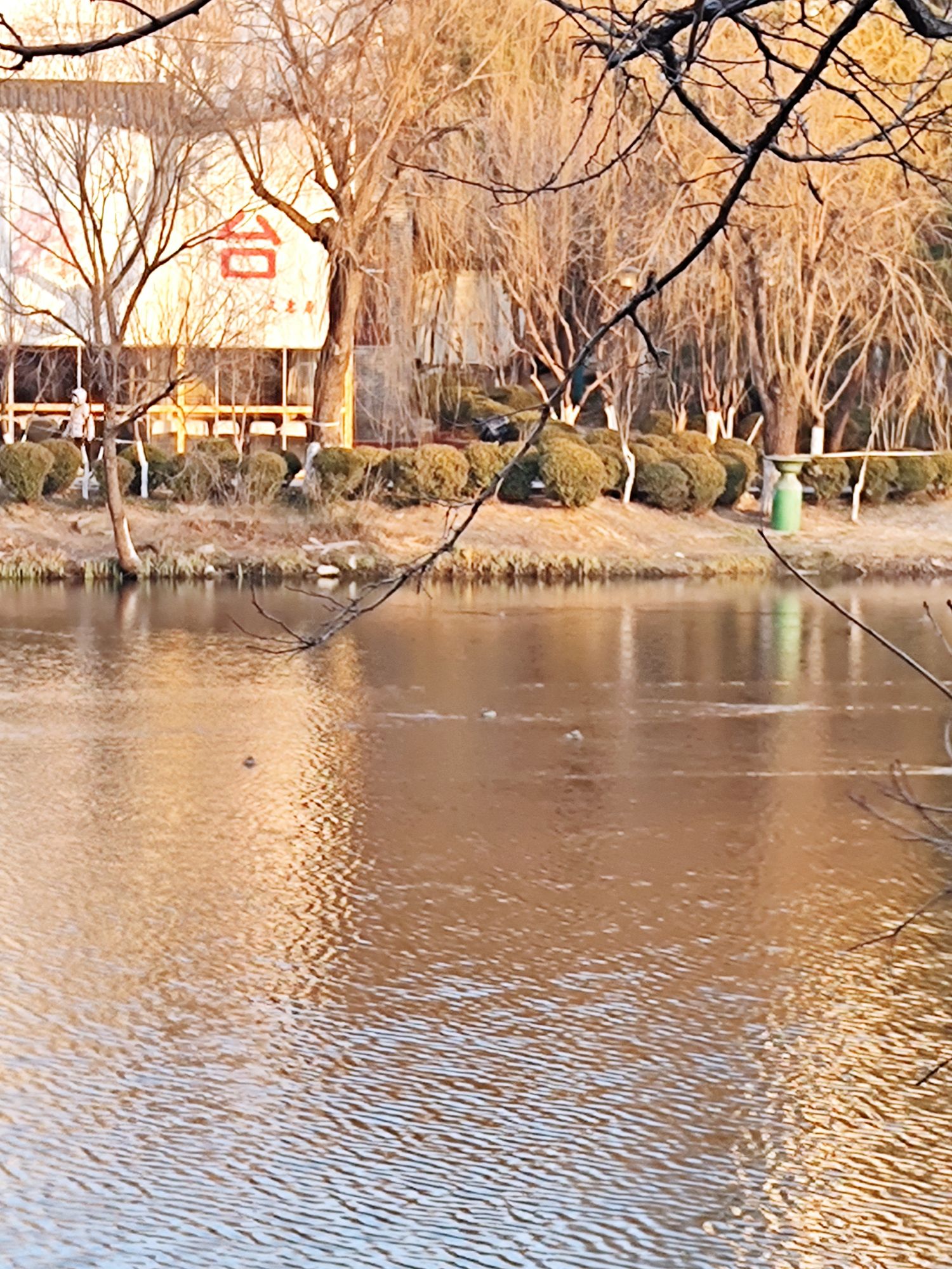 河滨公园旅行图片