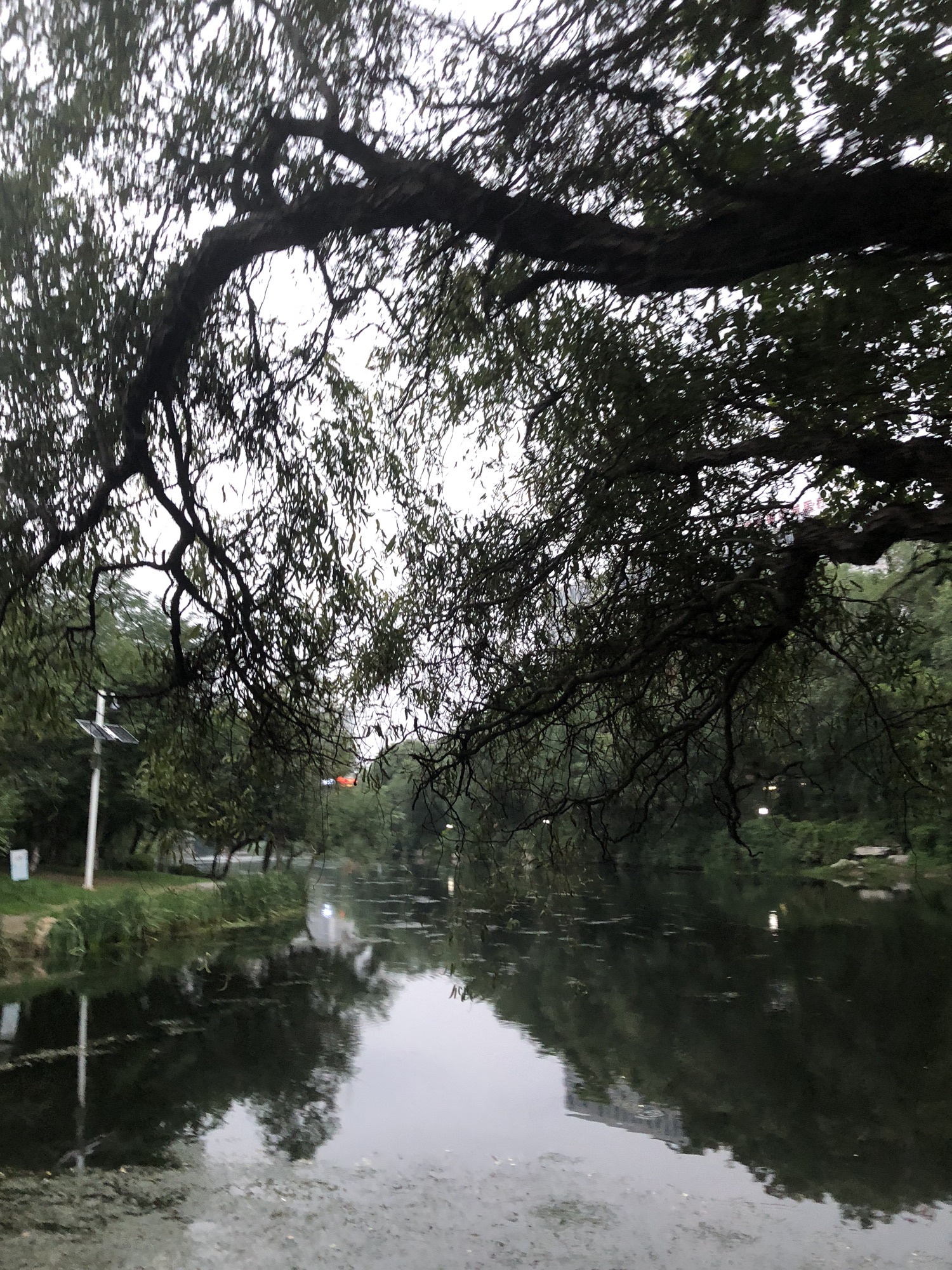河滨公园旅行图片