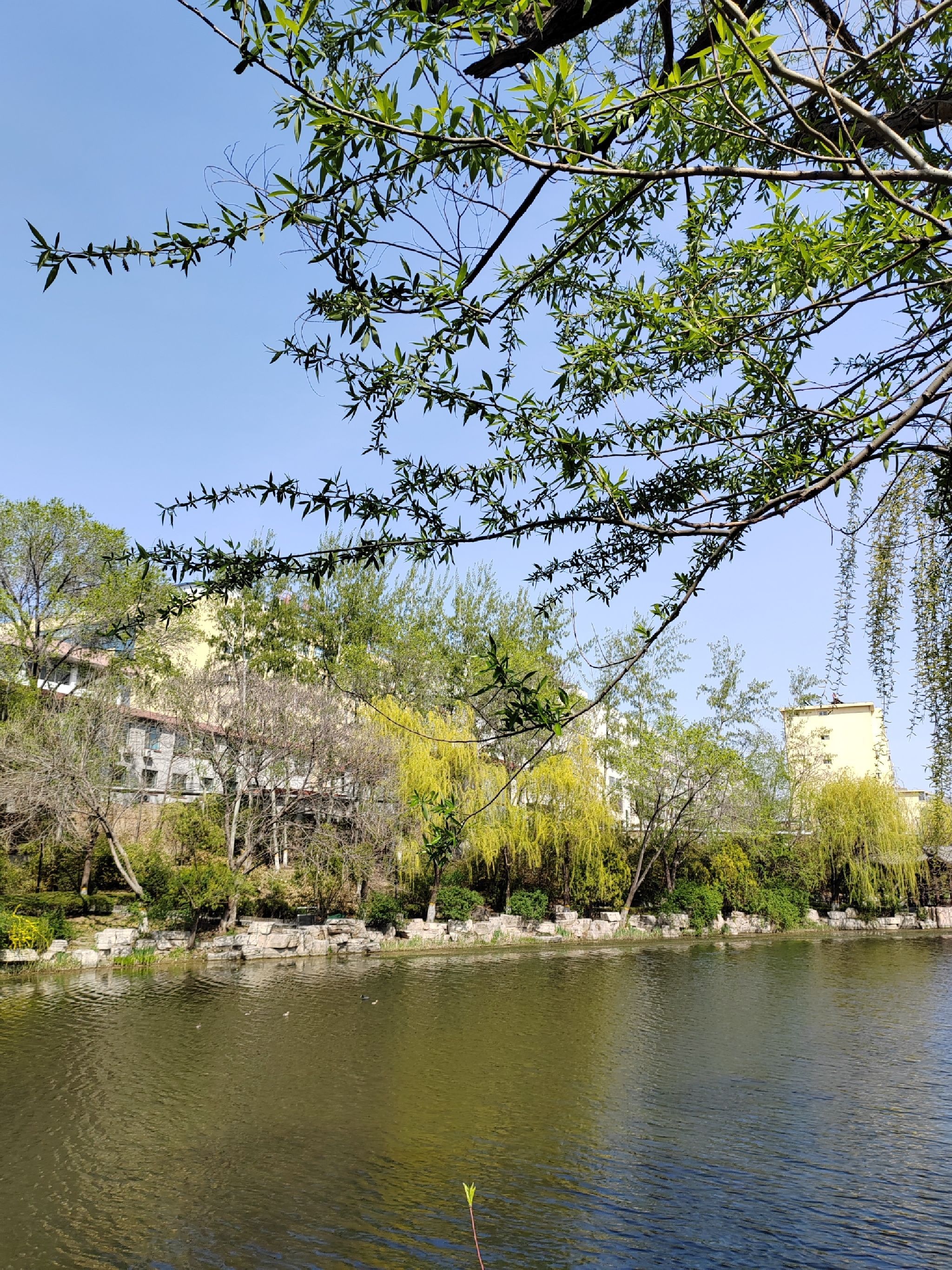 河滨公园旅行图片
