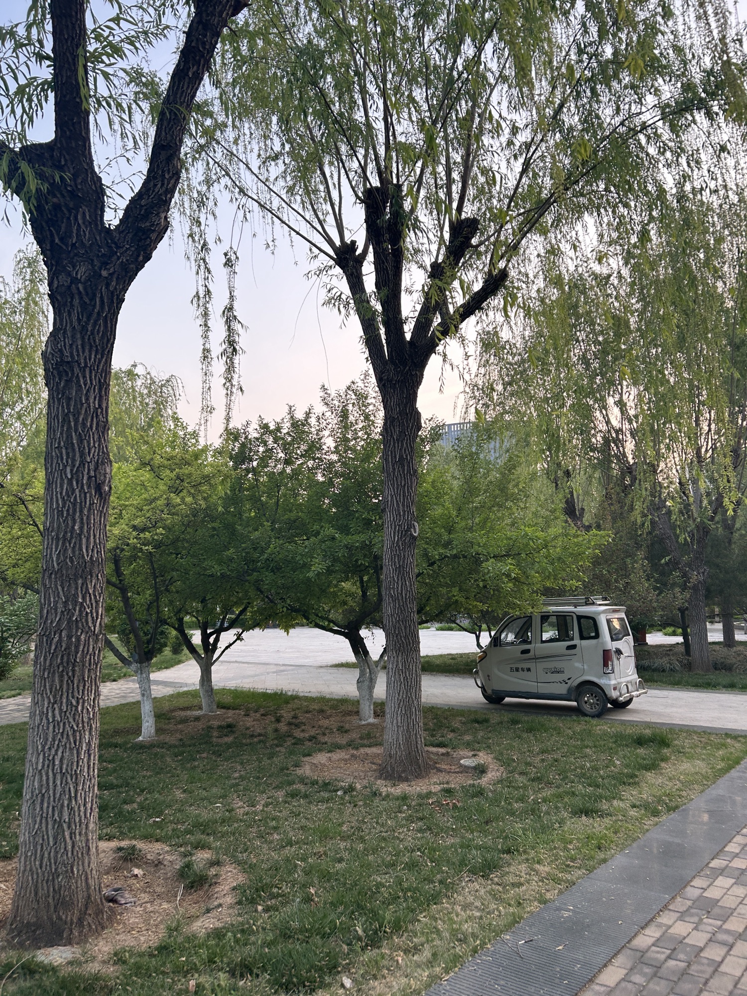 东城公园