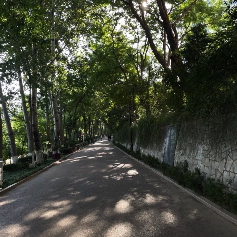张面河景区