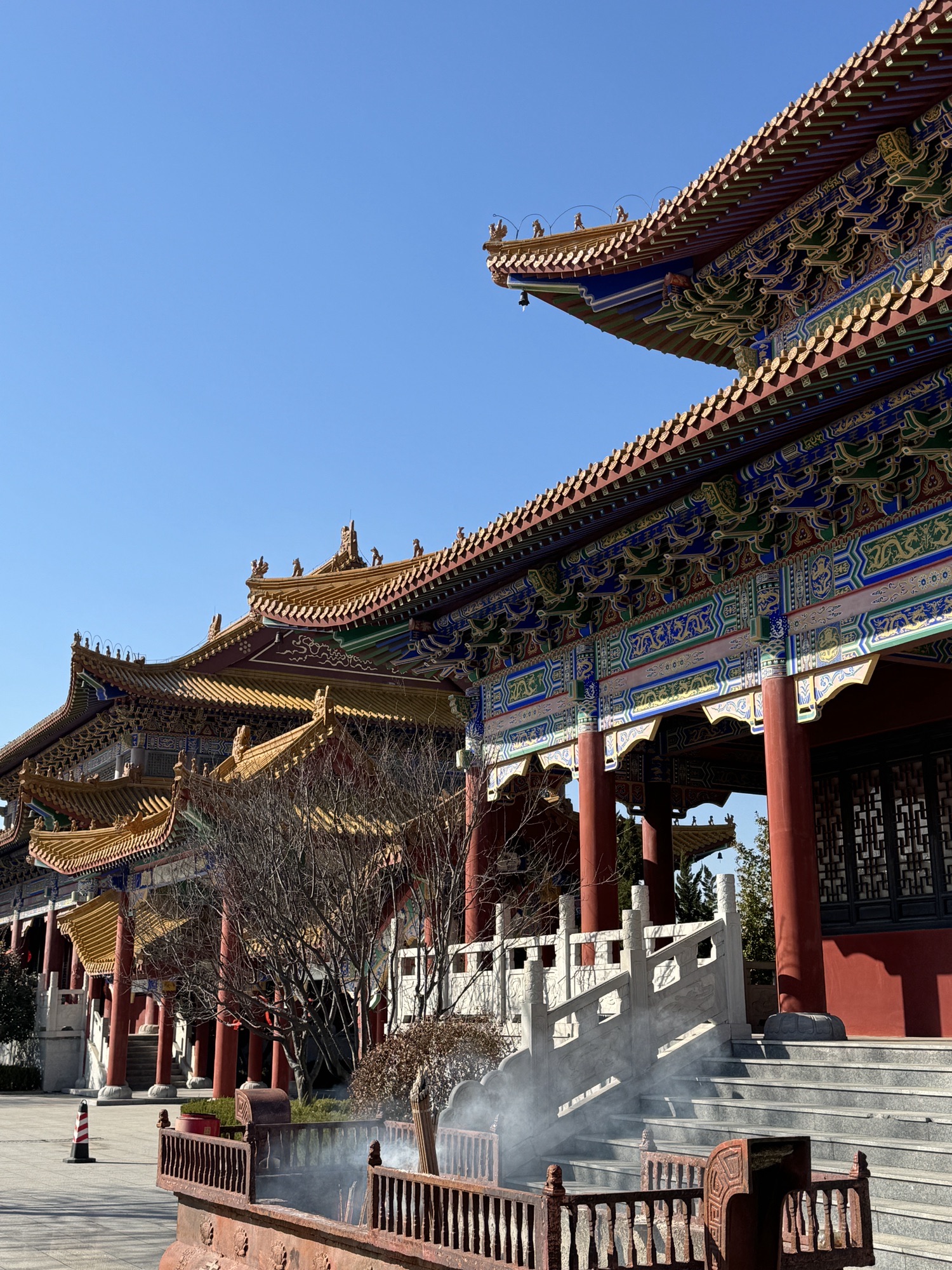 寿光林海生态博览园旅行图片
