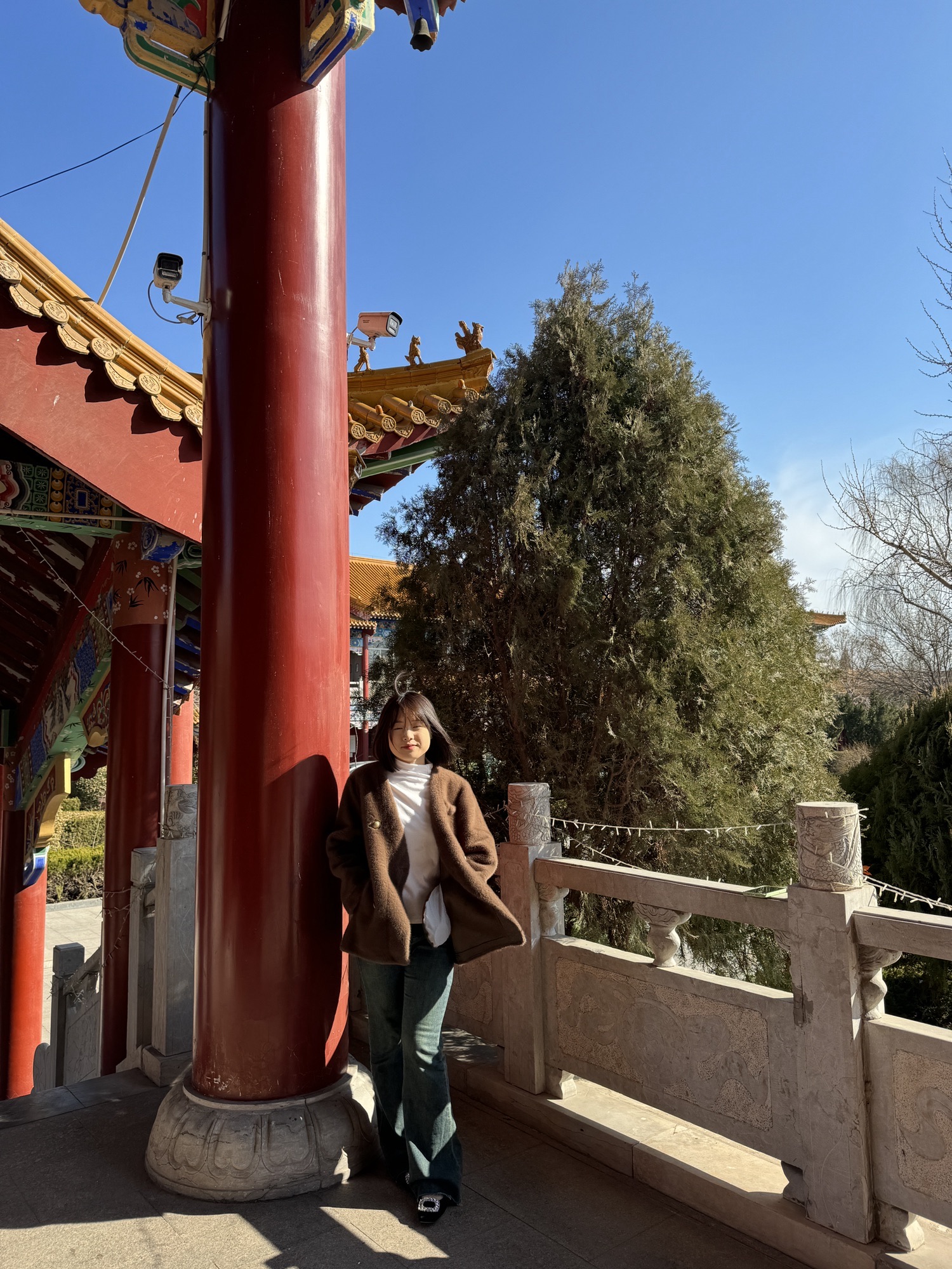 寿光林海生态博览园旅行图片