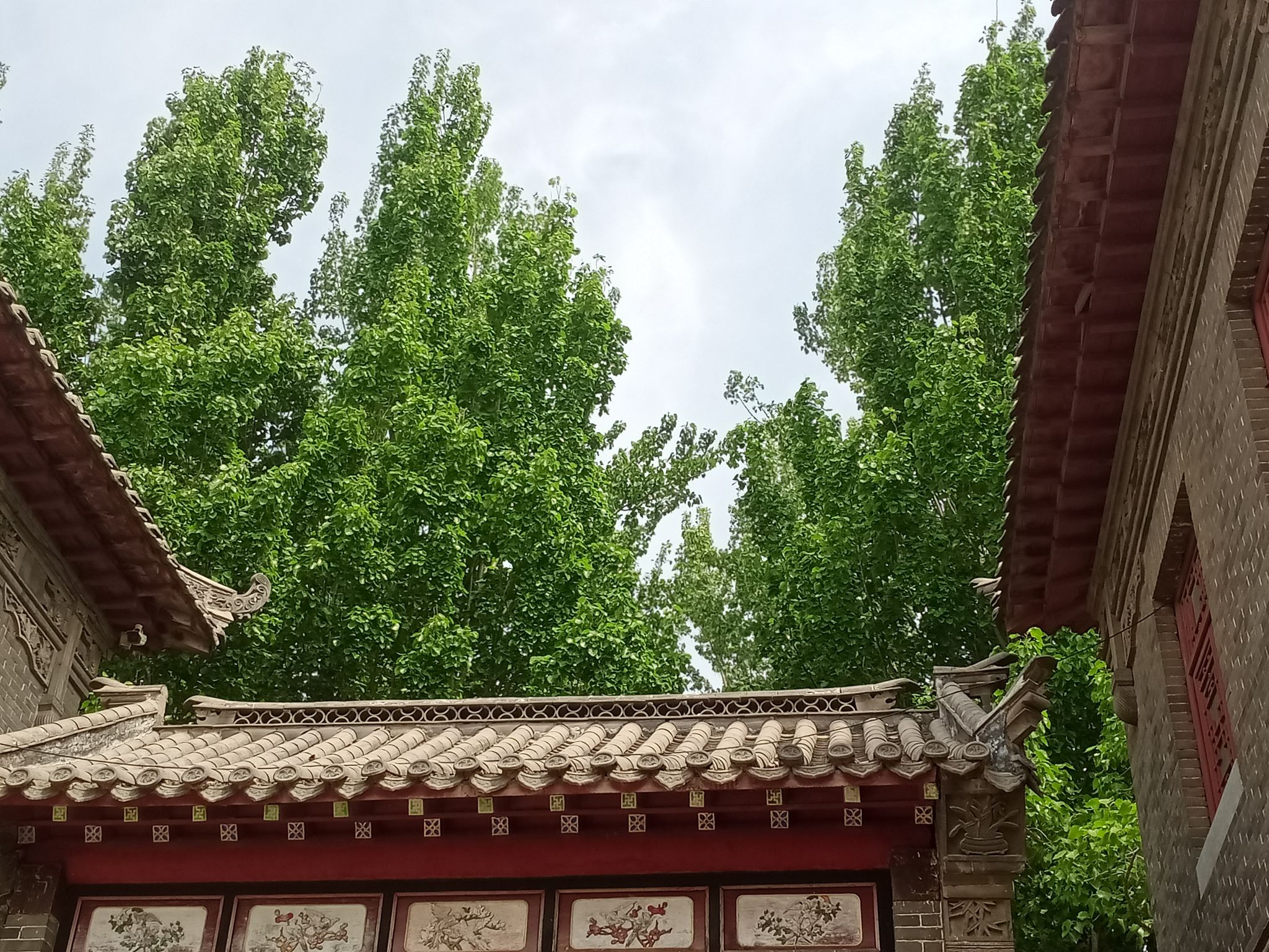 昌邑绿博园