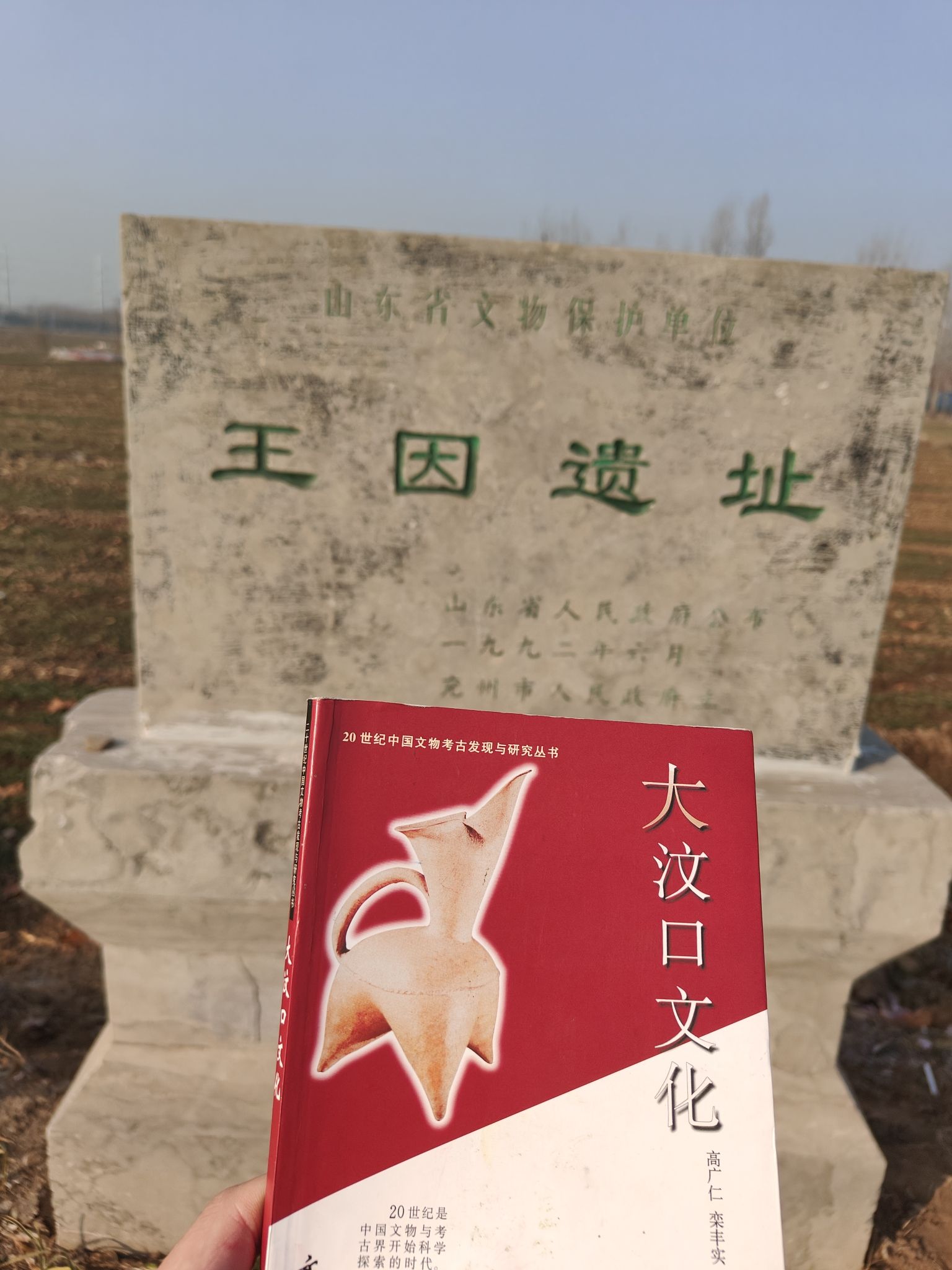 王因遗址