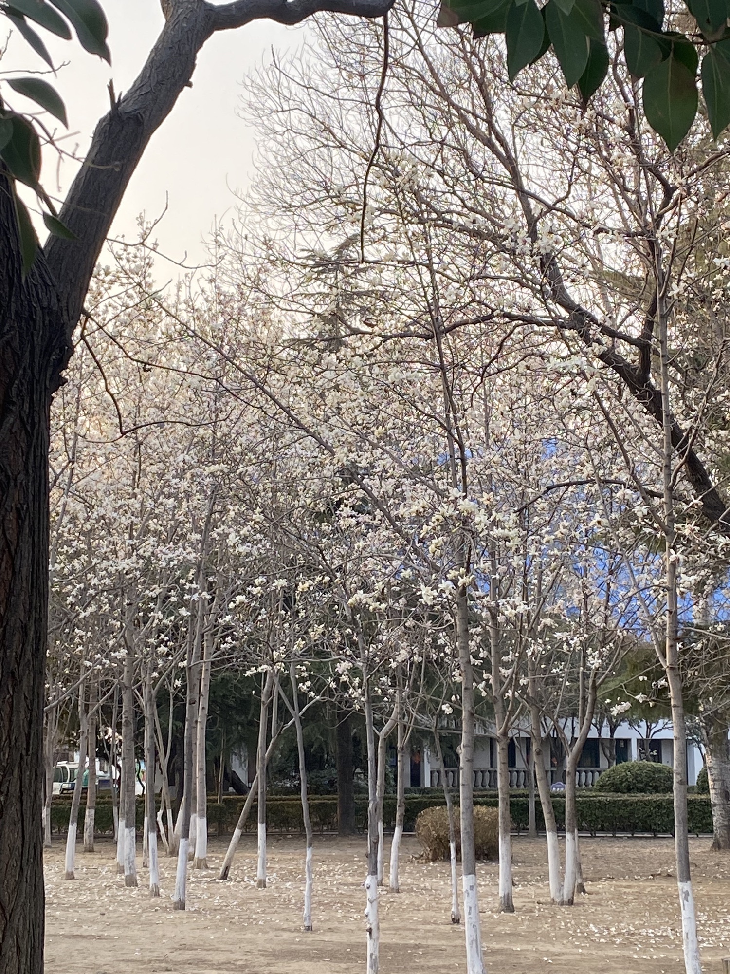 铁西公园旅行图片
