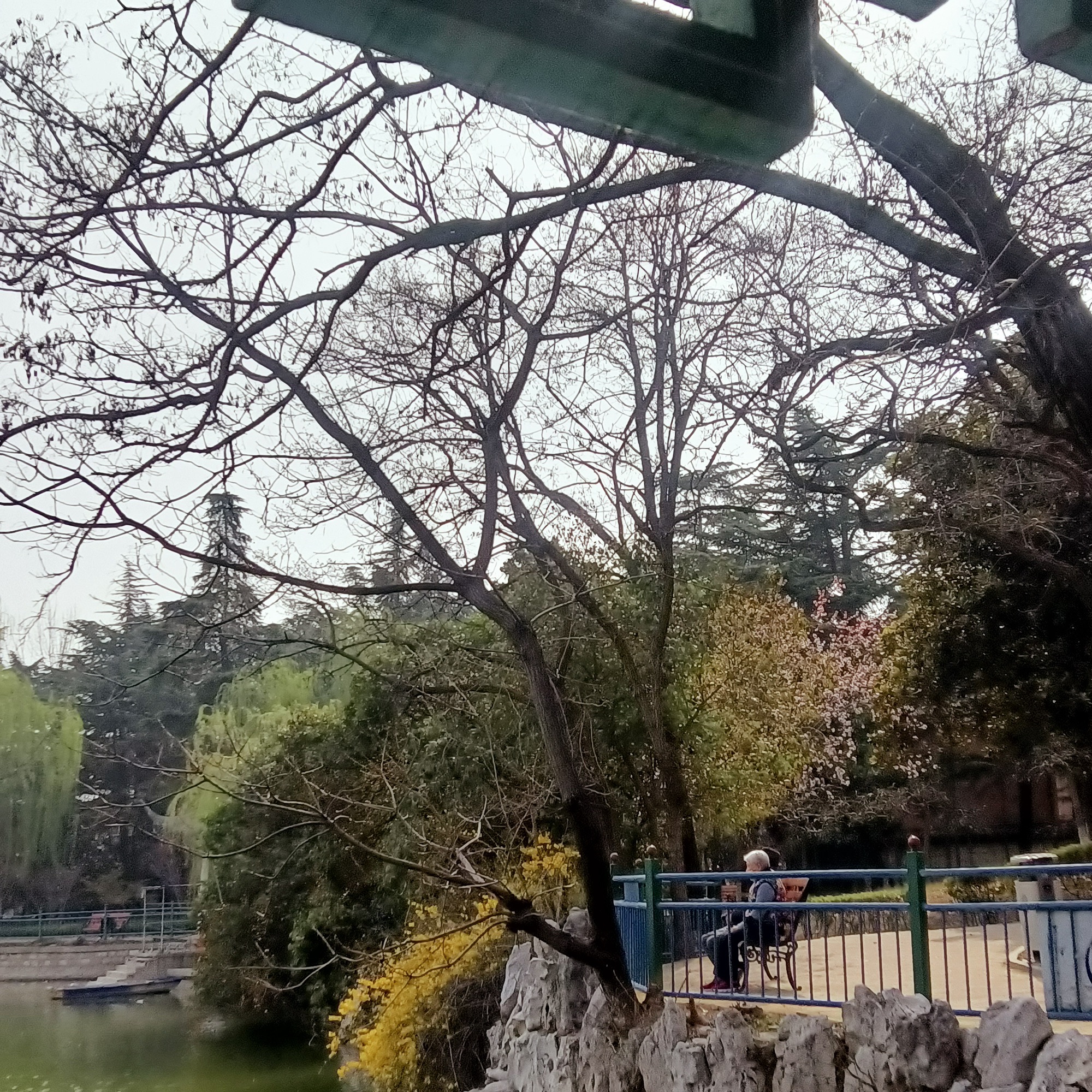 铁西公园旅行图片