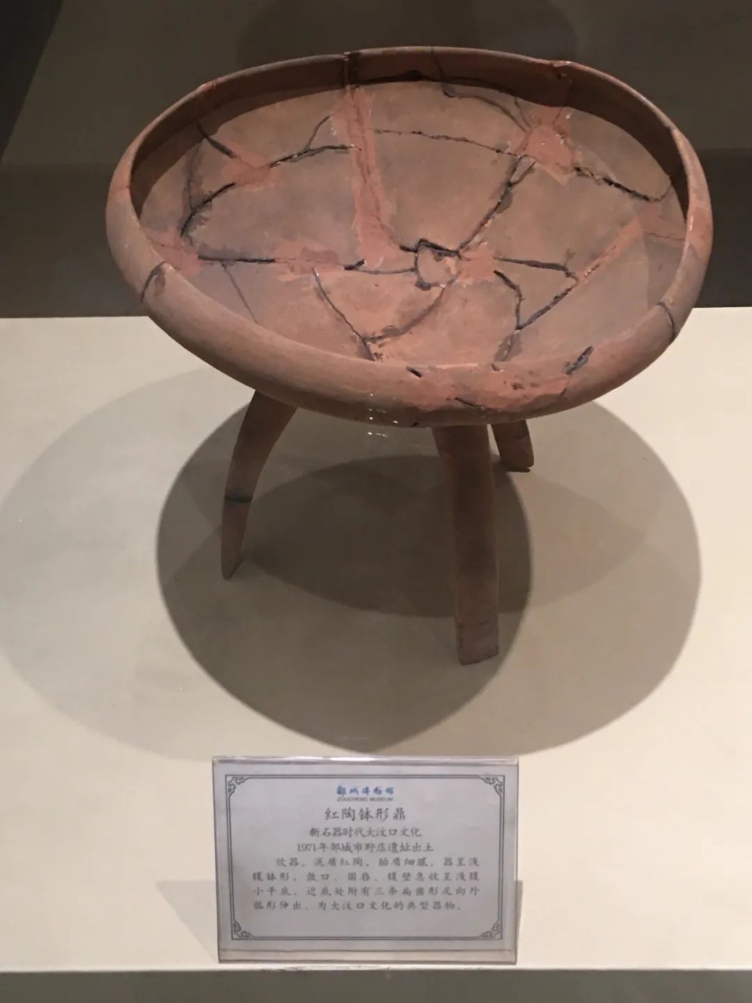 邹城博物馆旅行图片