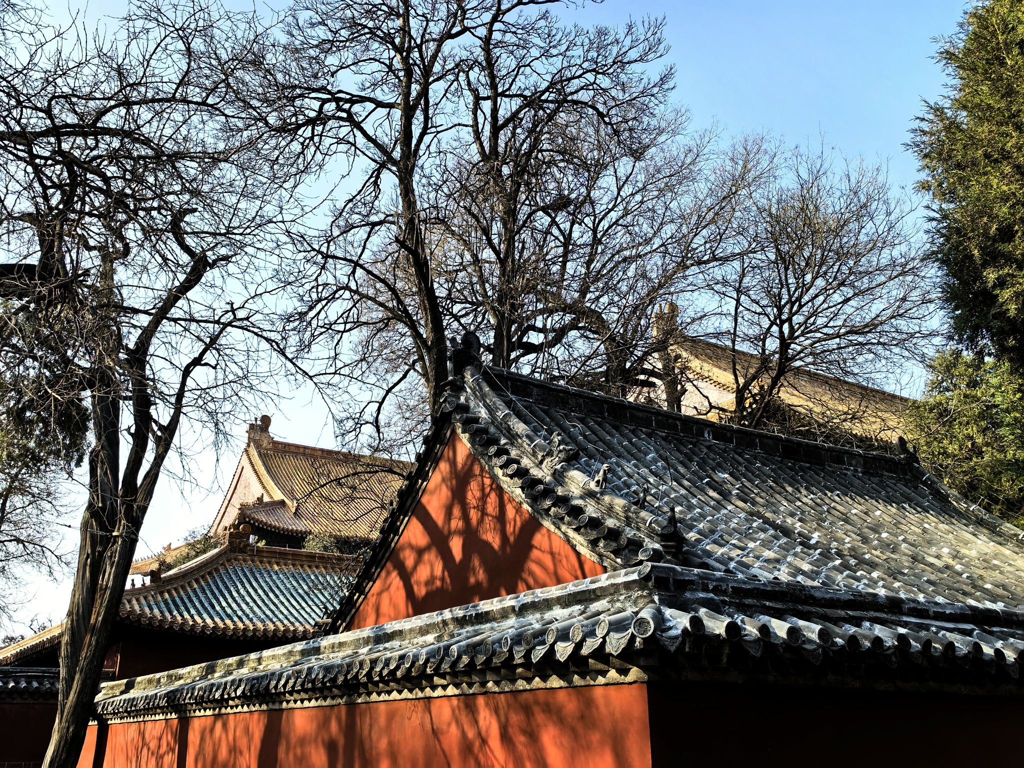 曲阜三孔景区-孔府旅行图片
