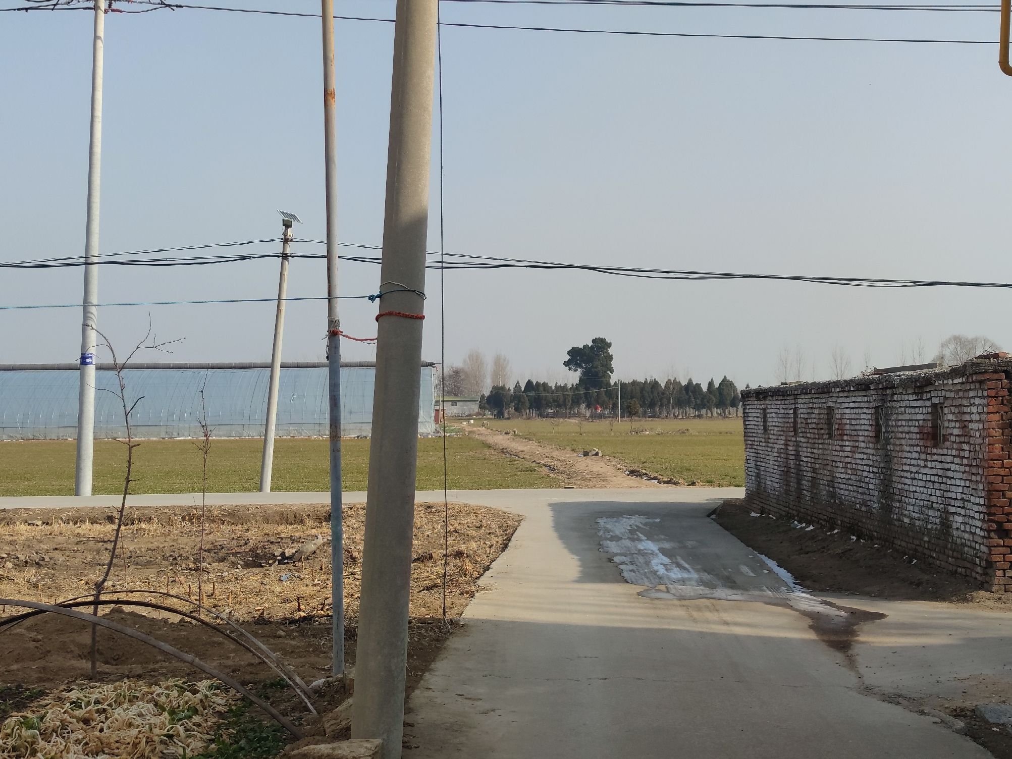 屈家店遗址