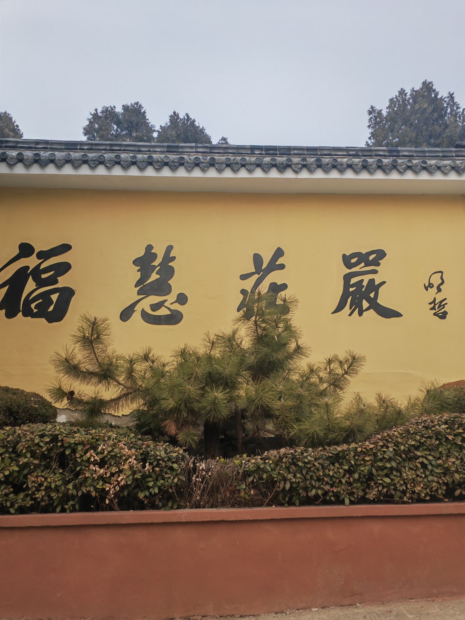 青山风景区旅行图片