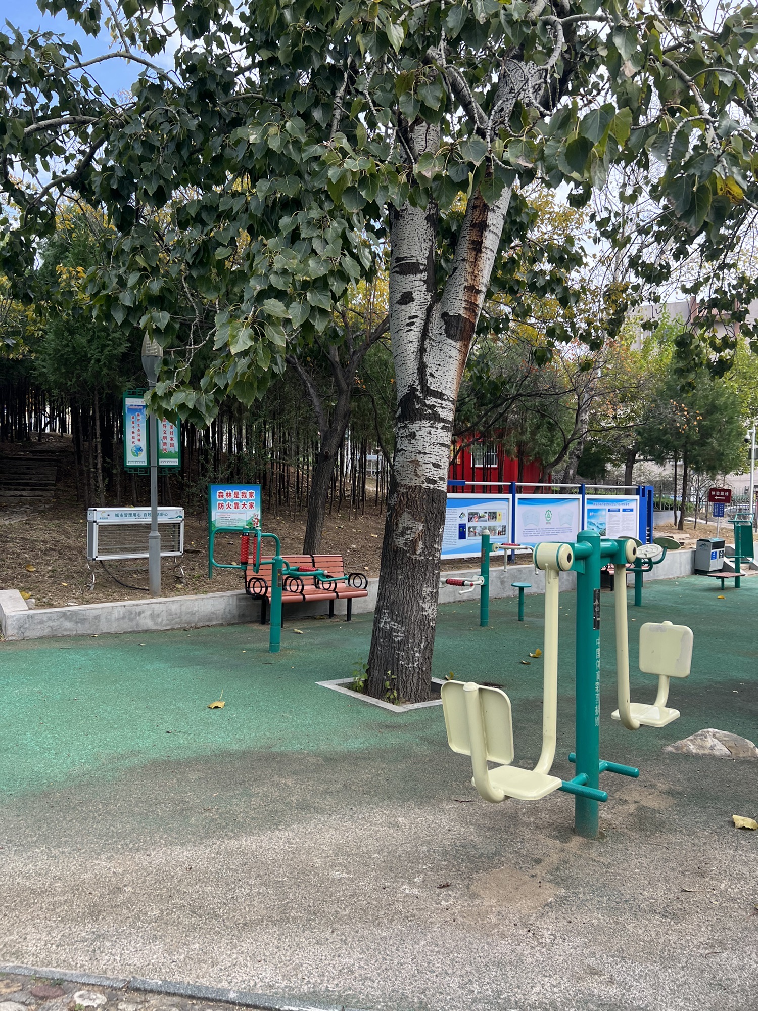 金山公园