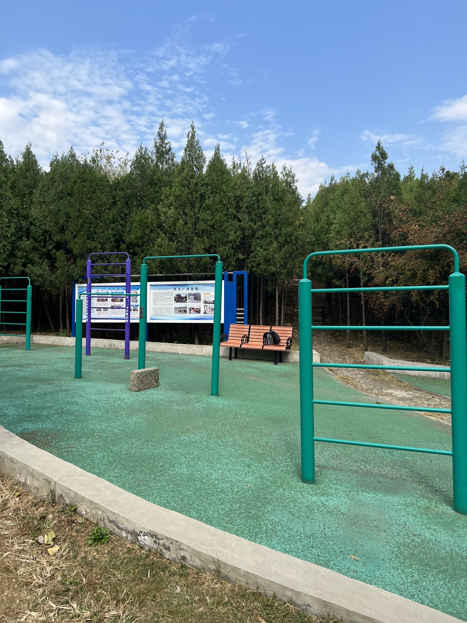 金山公园旅行图片