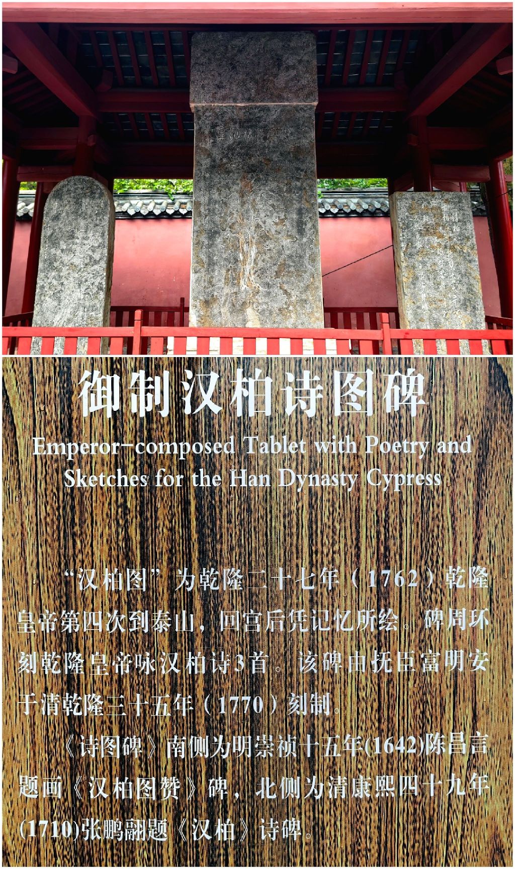 岱宗坊旅行图片