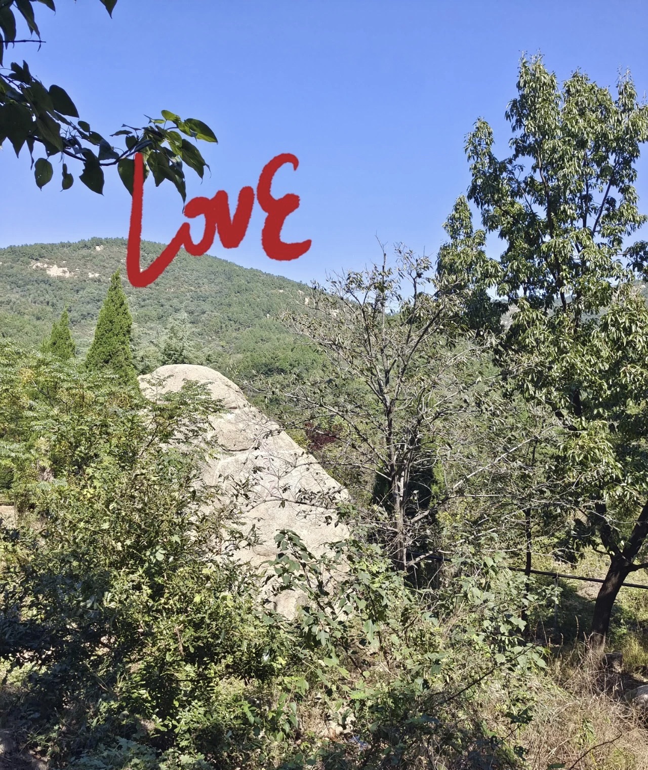 牛山森林公园旅行图片