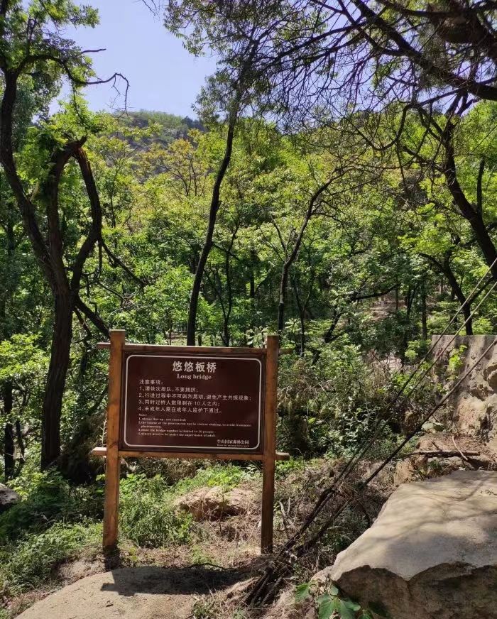 牛山森林公园旅行图片